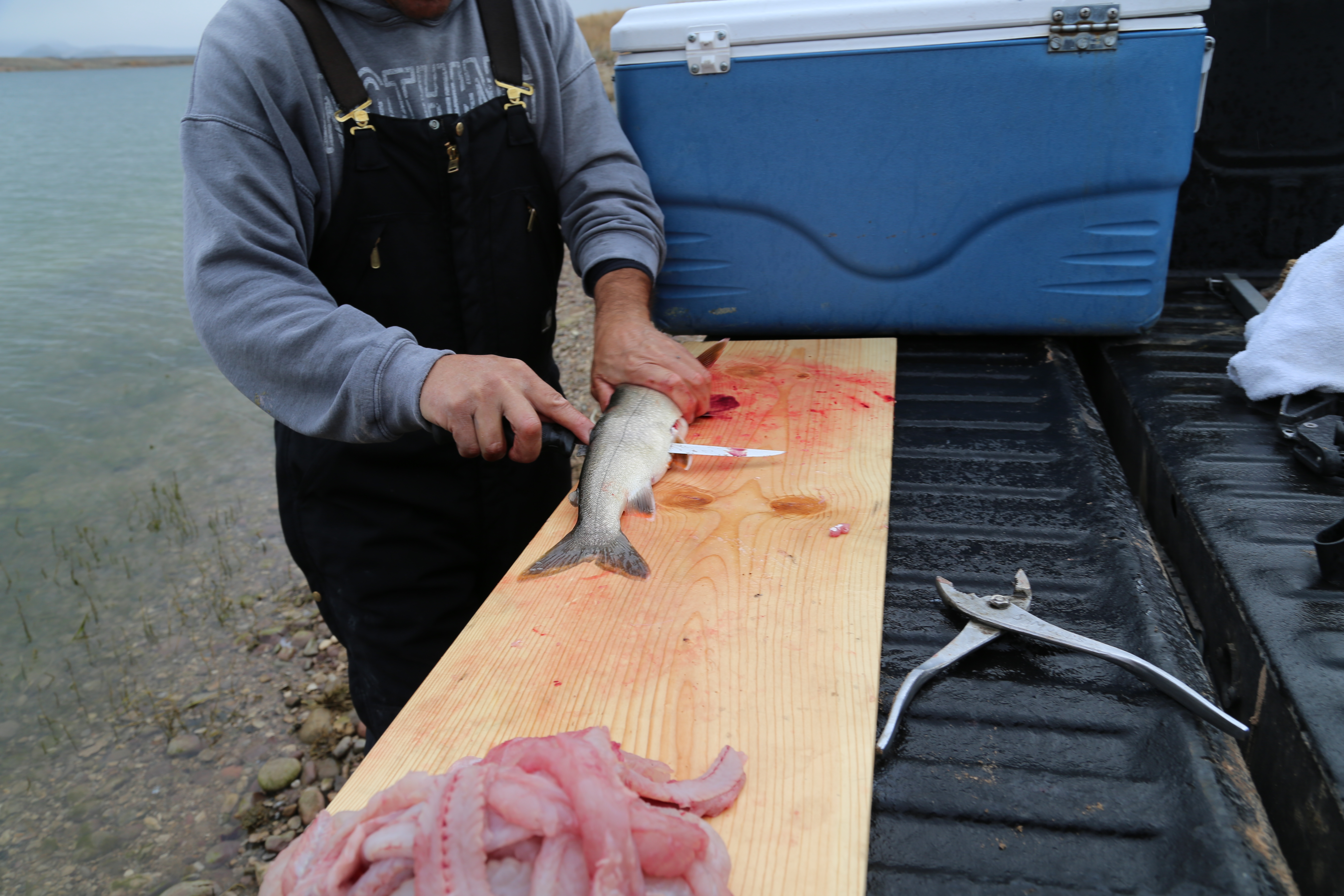 2015 Flaming Gorge Fishing Trip (Manila, Utah)