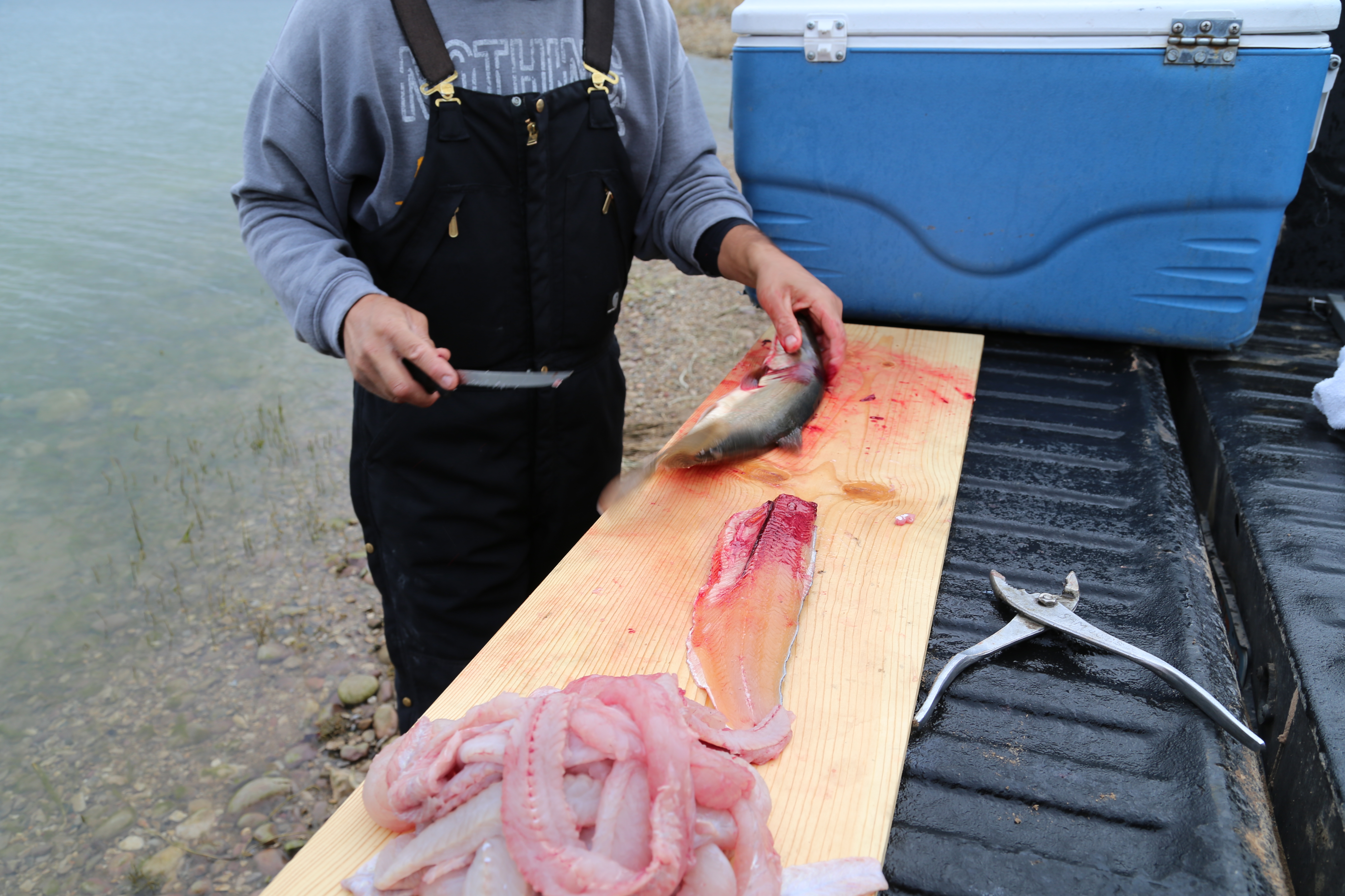 2015 Flaming Gorge Fishing Trip (Manila, Utah)