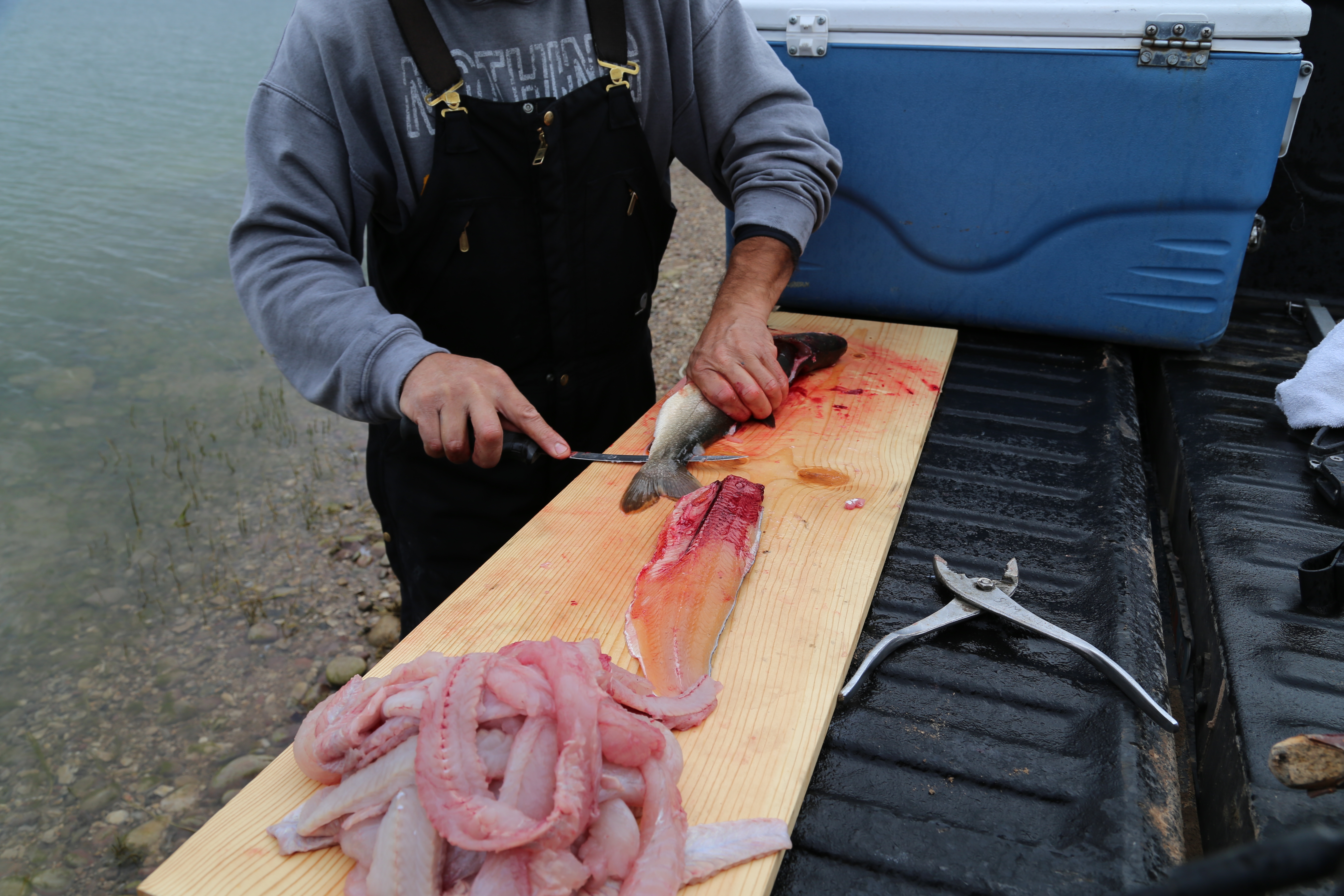 2015 Flaming Gorge Fishing Trip (Manila, Utah)