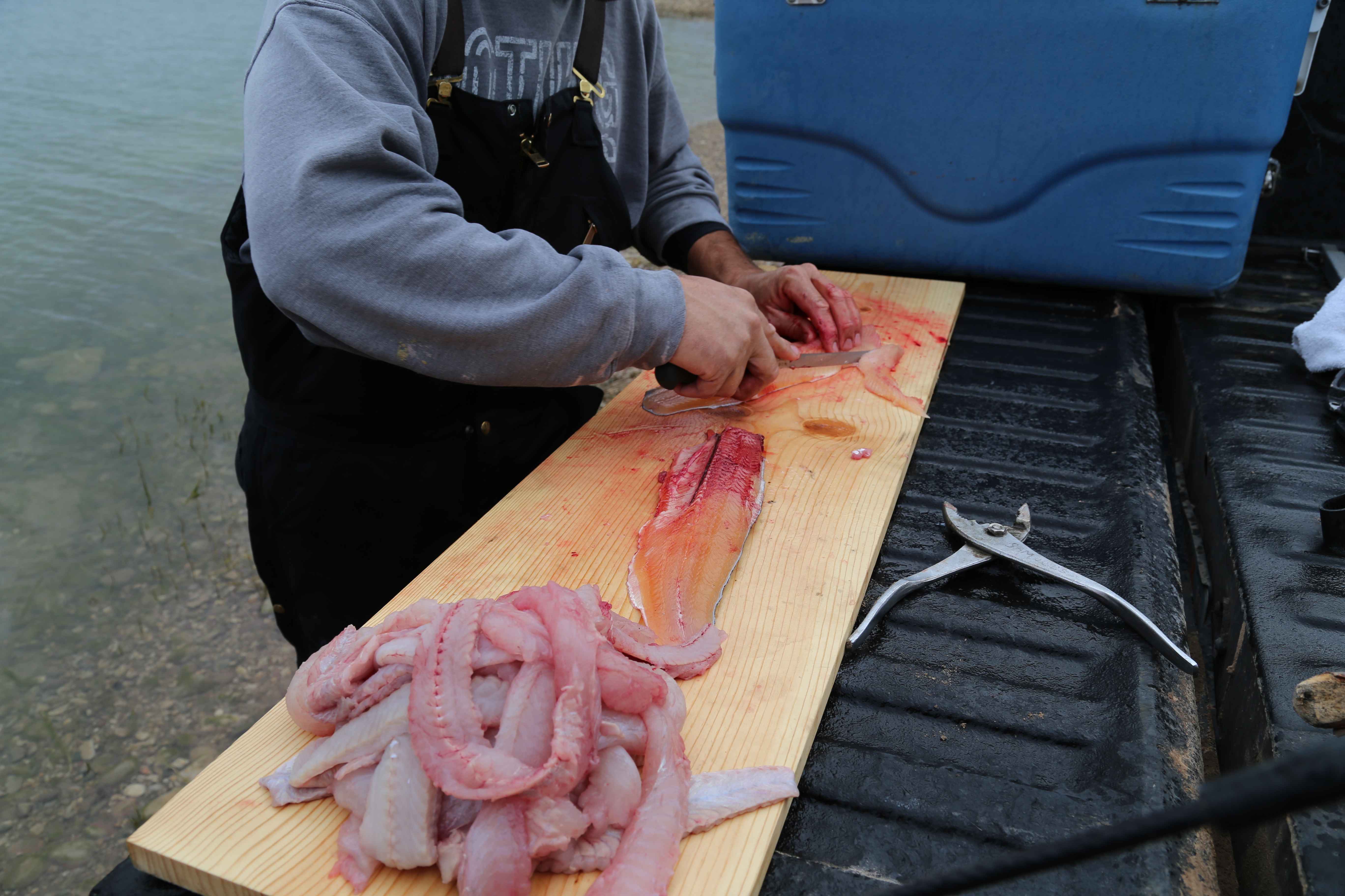 2015 Flaming Gorge Fishing Trip (Manila, Utah)