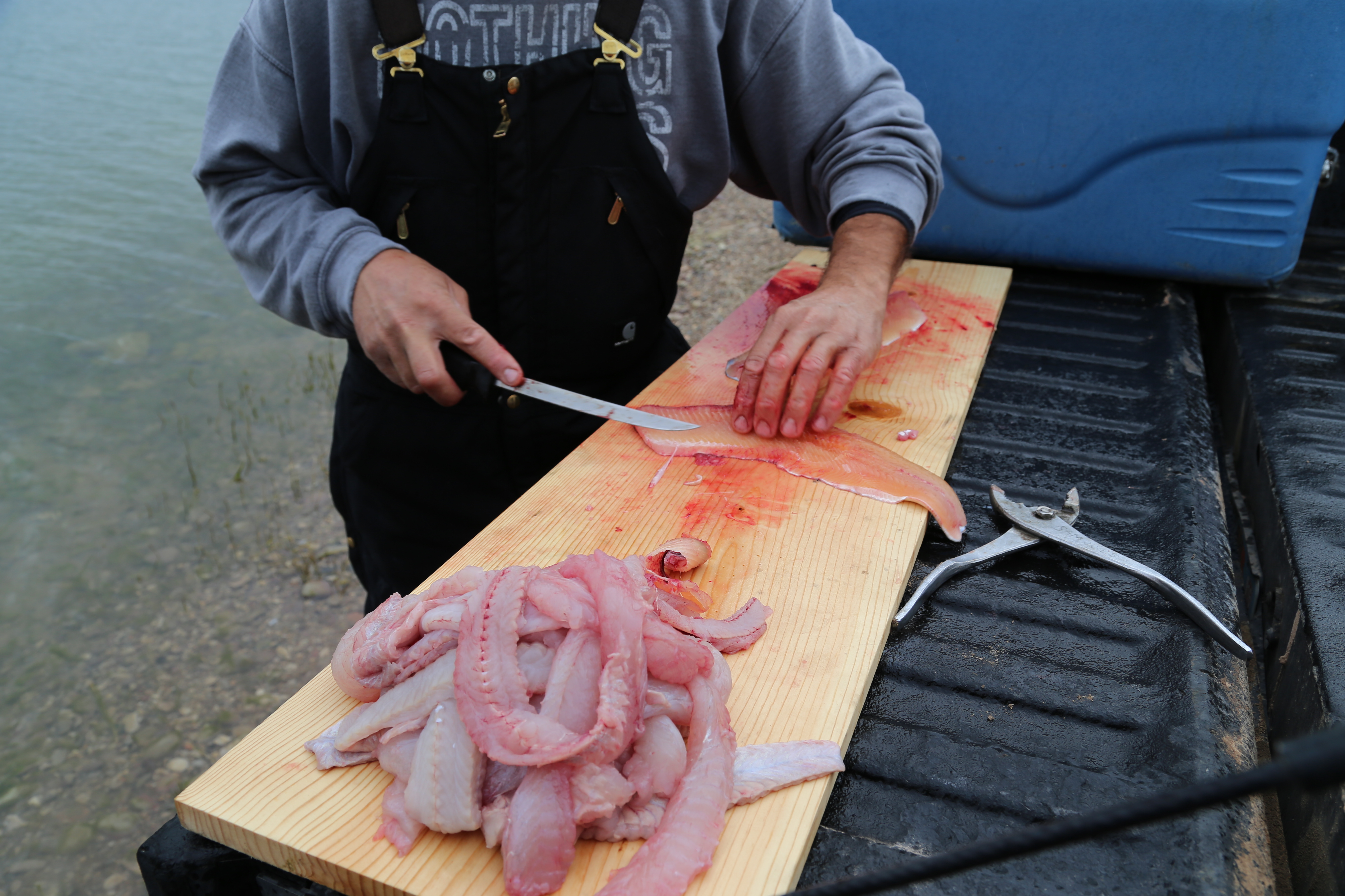 2015 Flaming Gorge Fishing Trip (Manila, Utah)