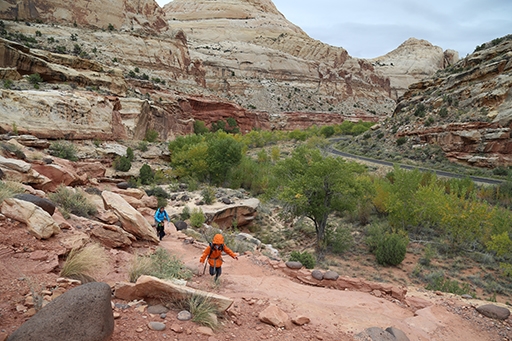 2015 Fall Break - Day 3 - Capitol Reef National Park (Gifford House Pies, Hickman Bridge Arch, Snakes Alive!, Picking Apples in the Fruita Pioneer Orchards, Goosenecks Overlook, Panorama Point), Eating Rattlesnakes at Cafe Diablo (Torrey, Utah)