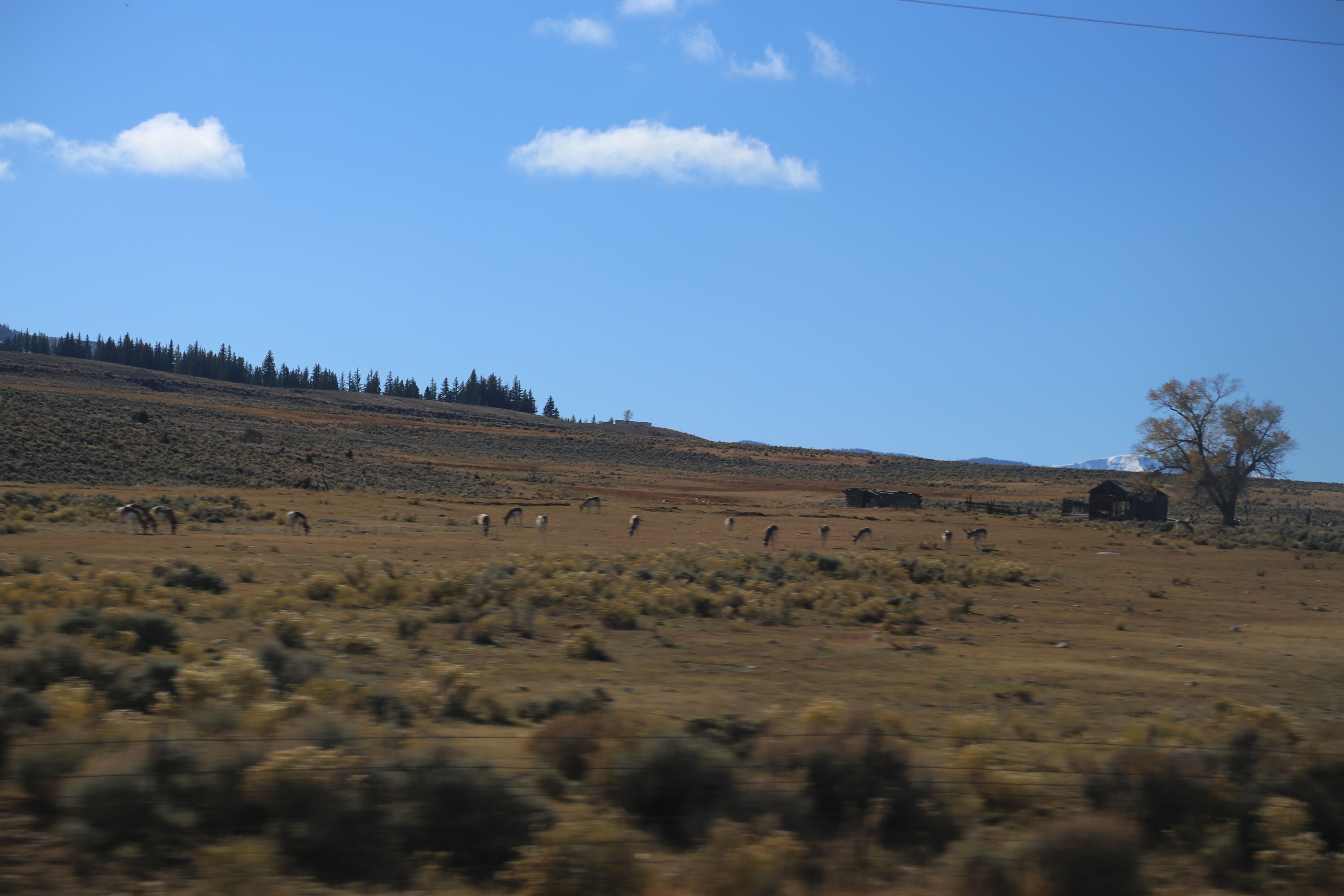 2016 Flaming Gorge Fishing Trip (Manila, Utah), Fort Bridger State Historic Site (Fort Bridger, Wyoming)