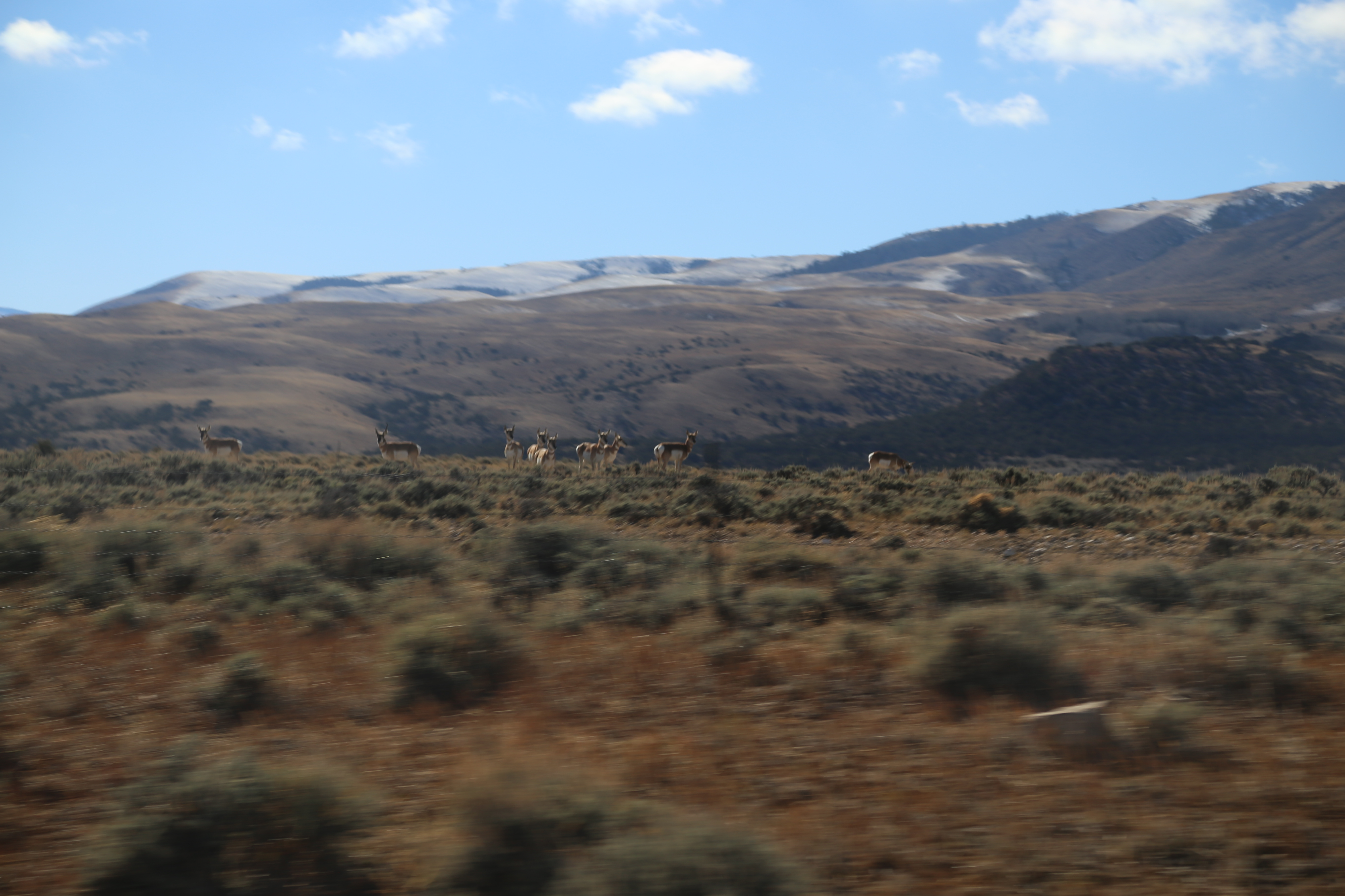 2016 Flaming Gorge Fishing Trip (Manila, Utah), Fort Bridger State Historic Site (Fort Bridger, Wyoming)