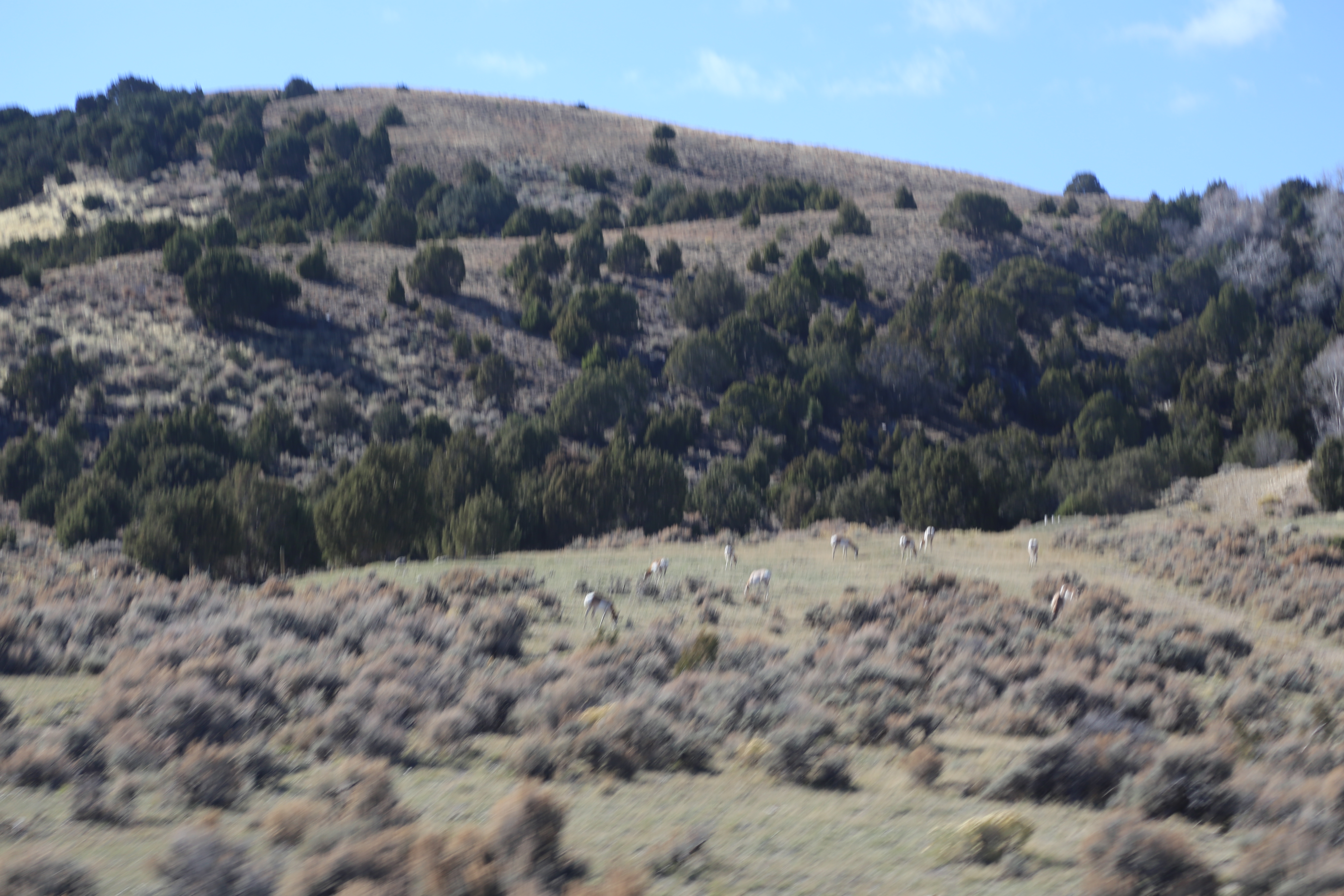 2016 Flaming Gorge Fishing Trip (Manila, Utah), Fort Bridger State Historic Site (Fort Bridger, Wyoming)