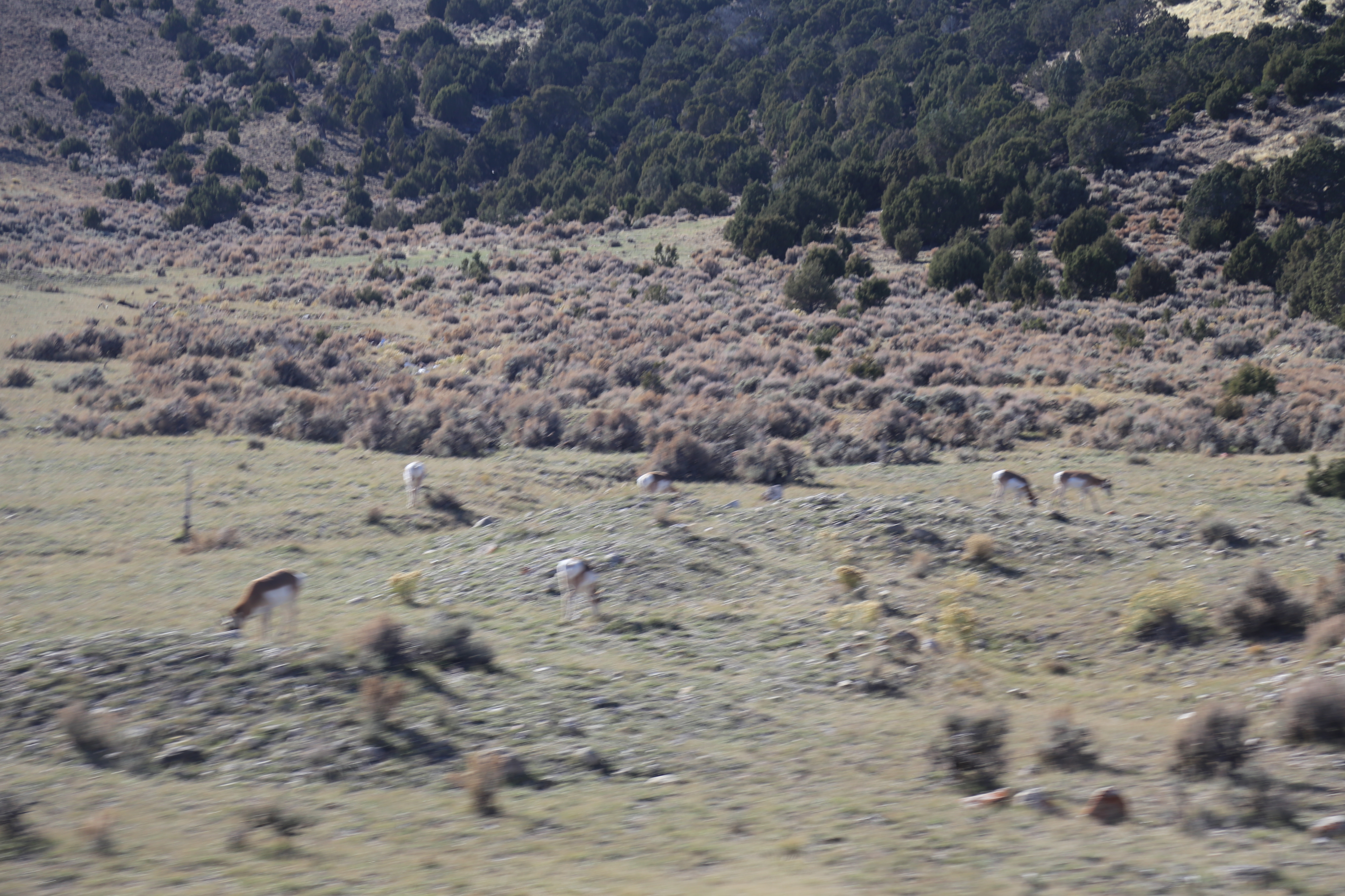 2016 Flaming Gorge Fishing Trip (Manila, Utah), Fort Bridger State Historic Site (Fort Bridger, Wyoming)