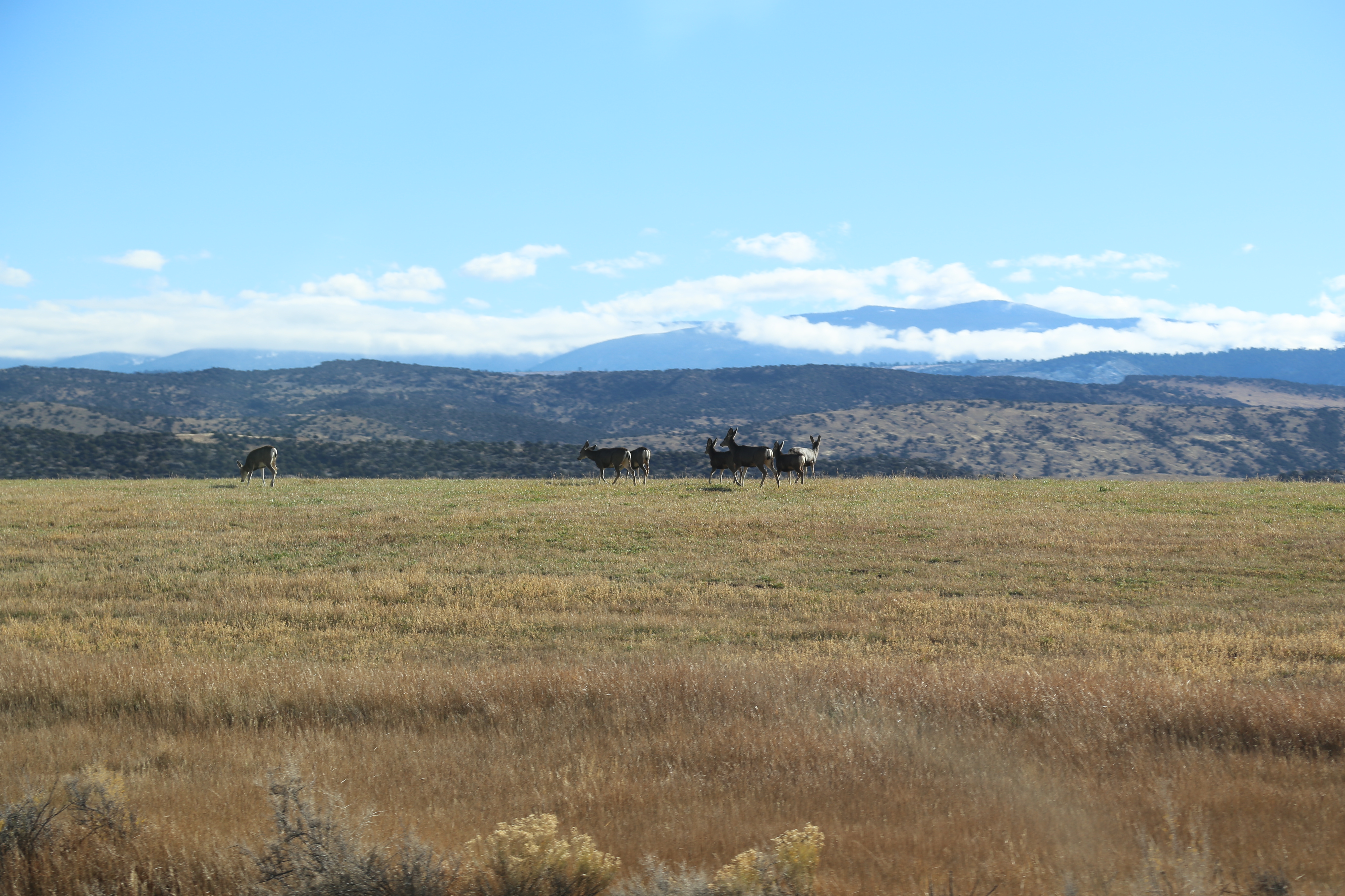 2016 Flaming Gorge Fishing Trip (Manila, Utah), Fort Bridger State Historic Site (Fort Bridger, Wyoming)