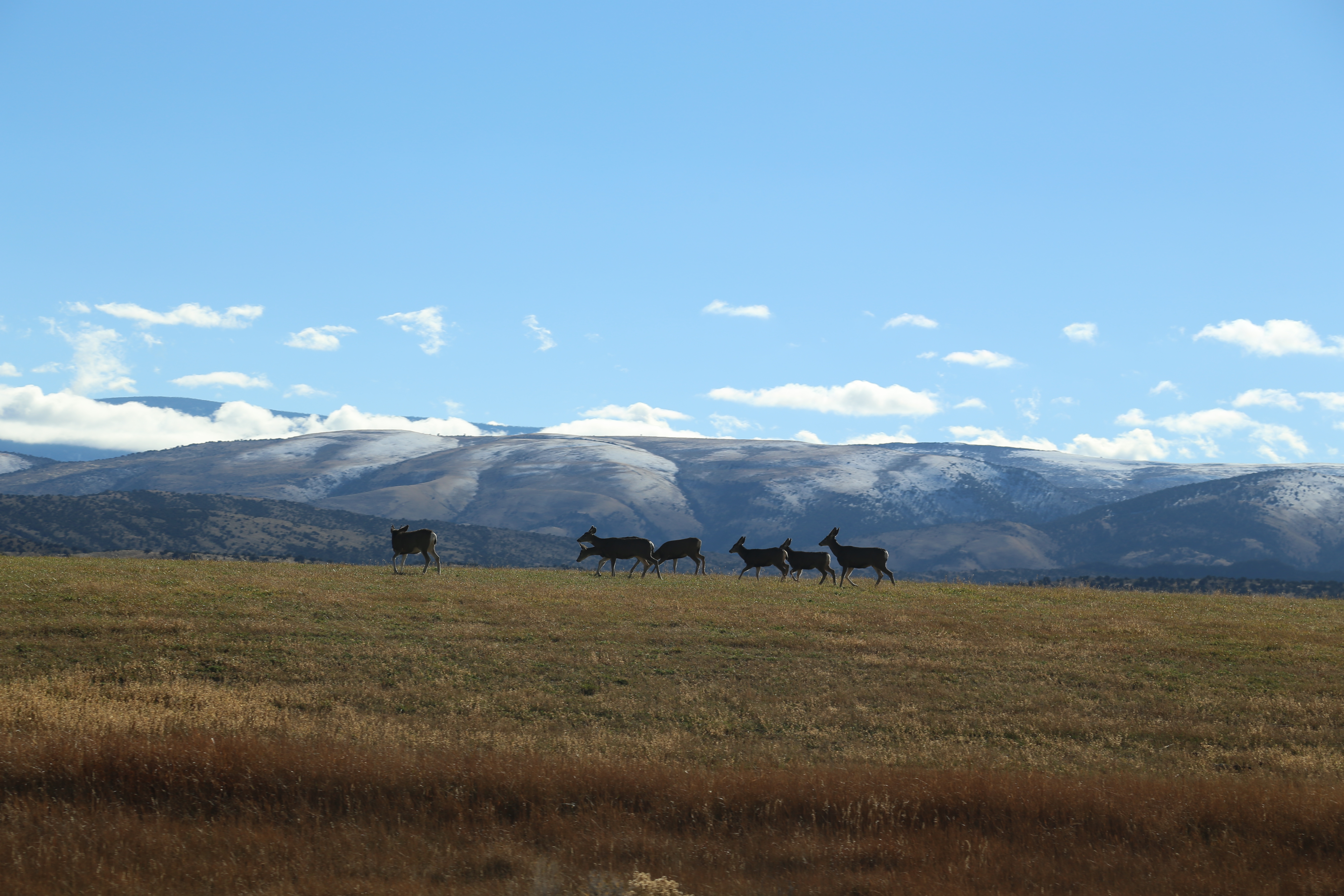 2016 Flaming Gorge Fishing Trip (Manila, Utah), Fort Bridger State Historic Site (Fort Bridger, Wyoming)