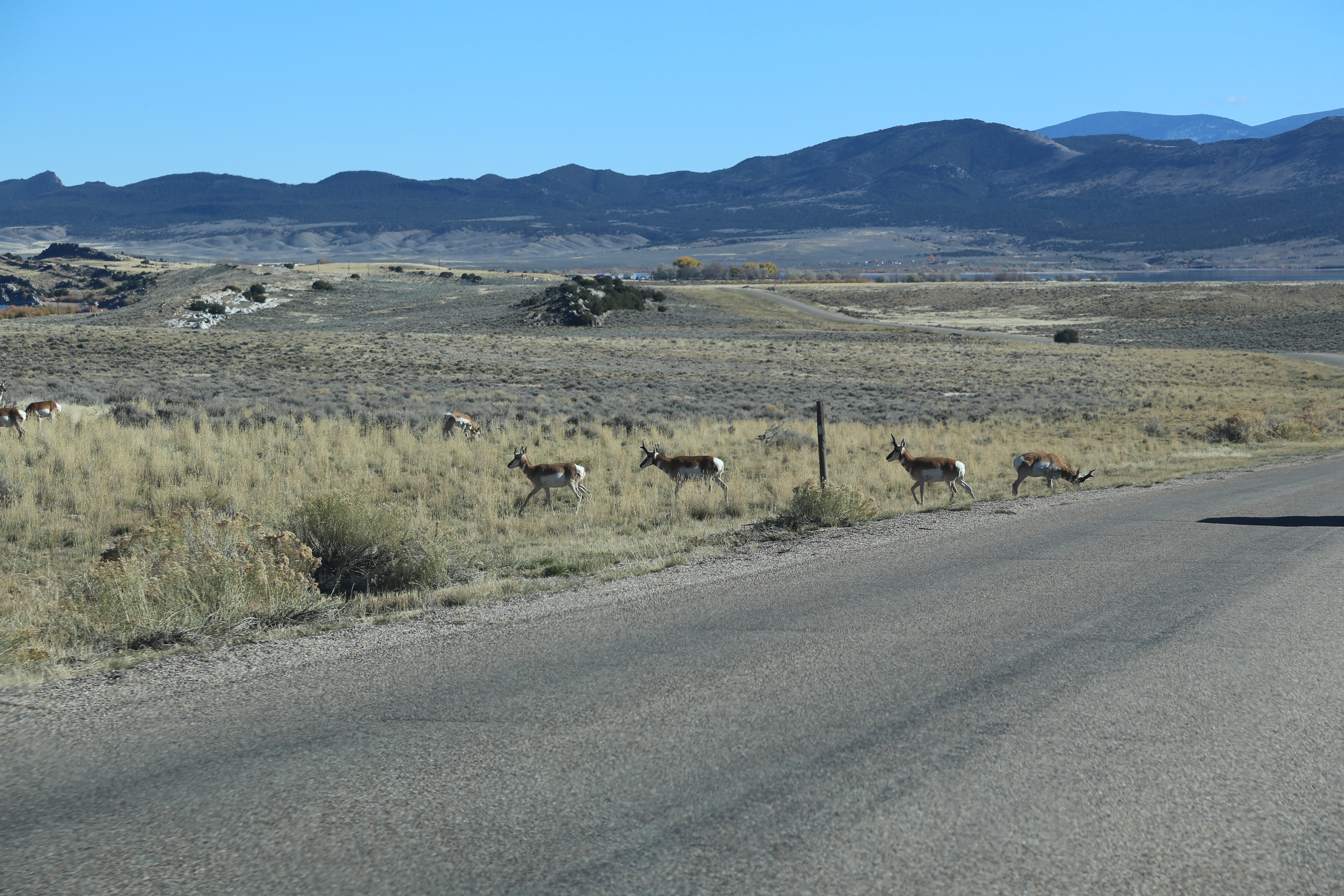 2016 Flaming Gorge Fishing Trip (Manila, Utah), Fort Bridger State Historic Site (Fort Bridger, Wyoming)