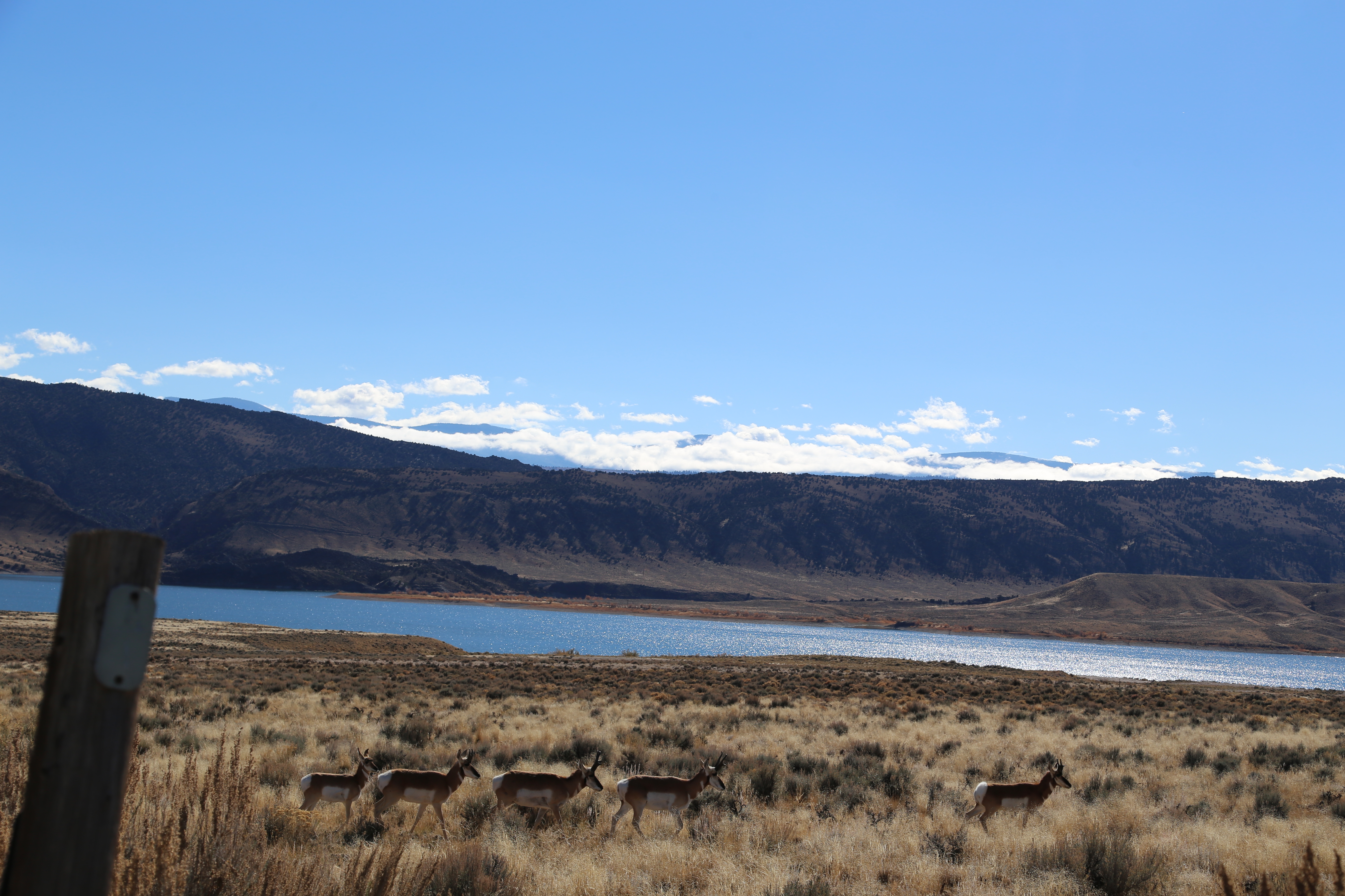 2016 Flaming Gorge Fishing Trip (Manila, Utah), Fort Bridger State Historic Site (Fort Bridger, Wyoming)