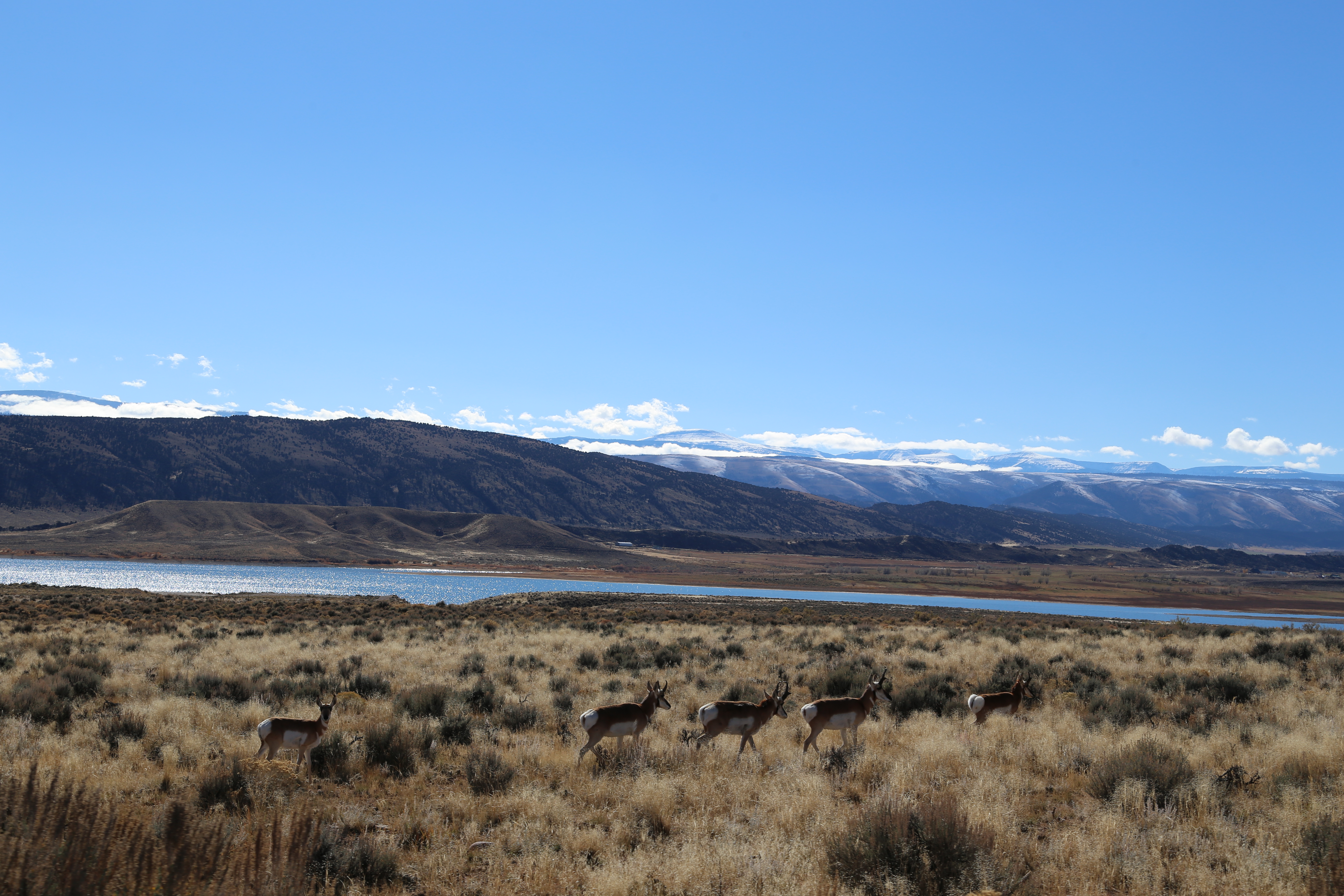 2016 Flaming Gorge Fishing Trip (Manila, Utah), Fort Bridger State Historic Site (Fort Bridger, Wyoming)