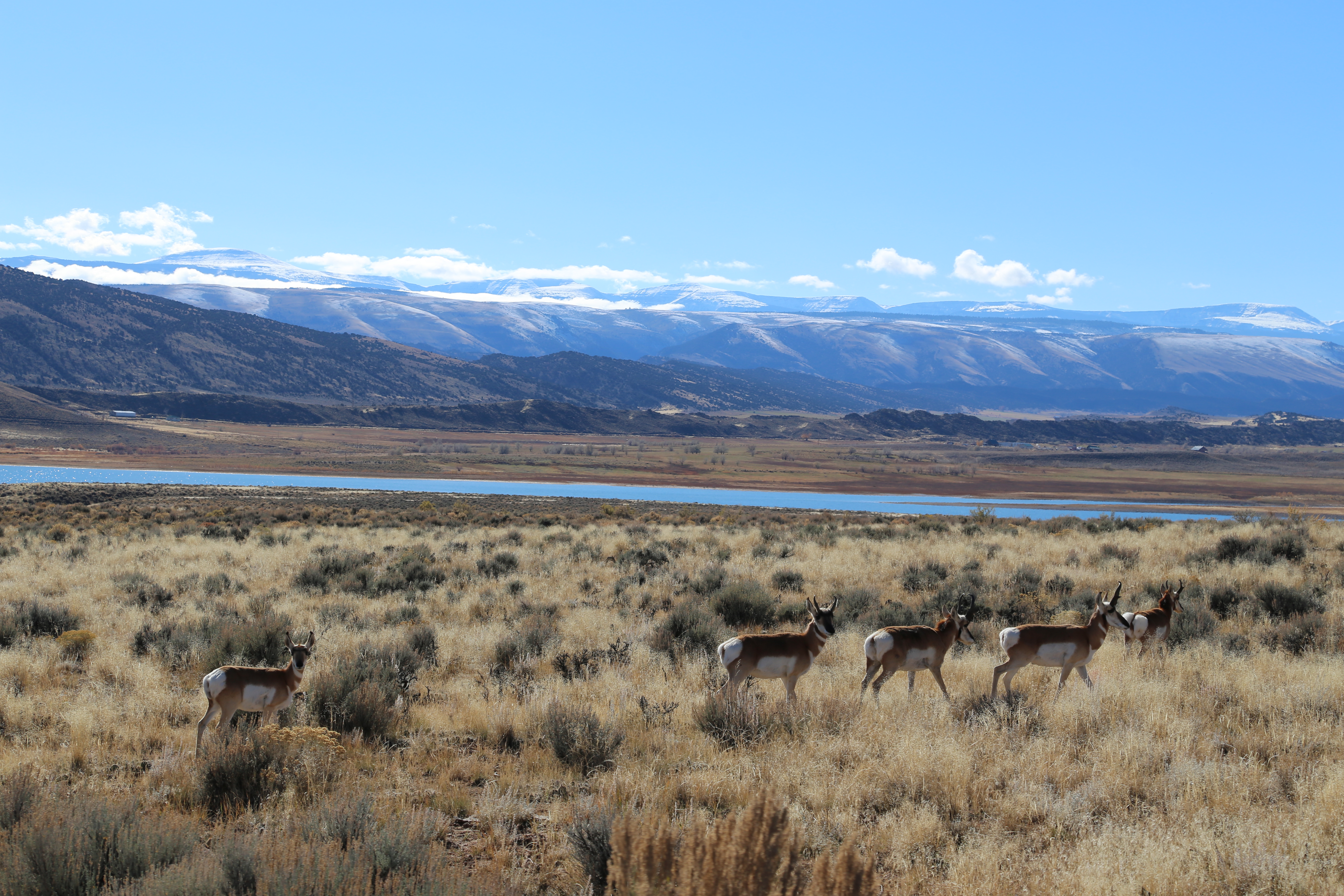 2016 Flaming Gorge Fishing Trip (Manila, Utah), Fort Bridger State Historic Site (Fort Bridger, Wyoming)