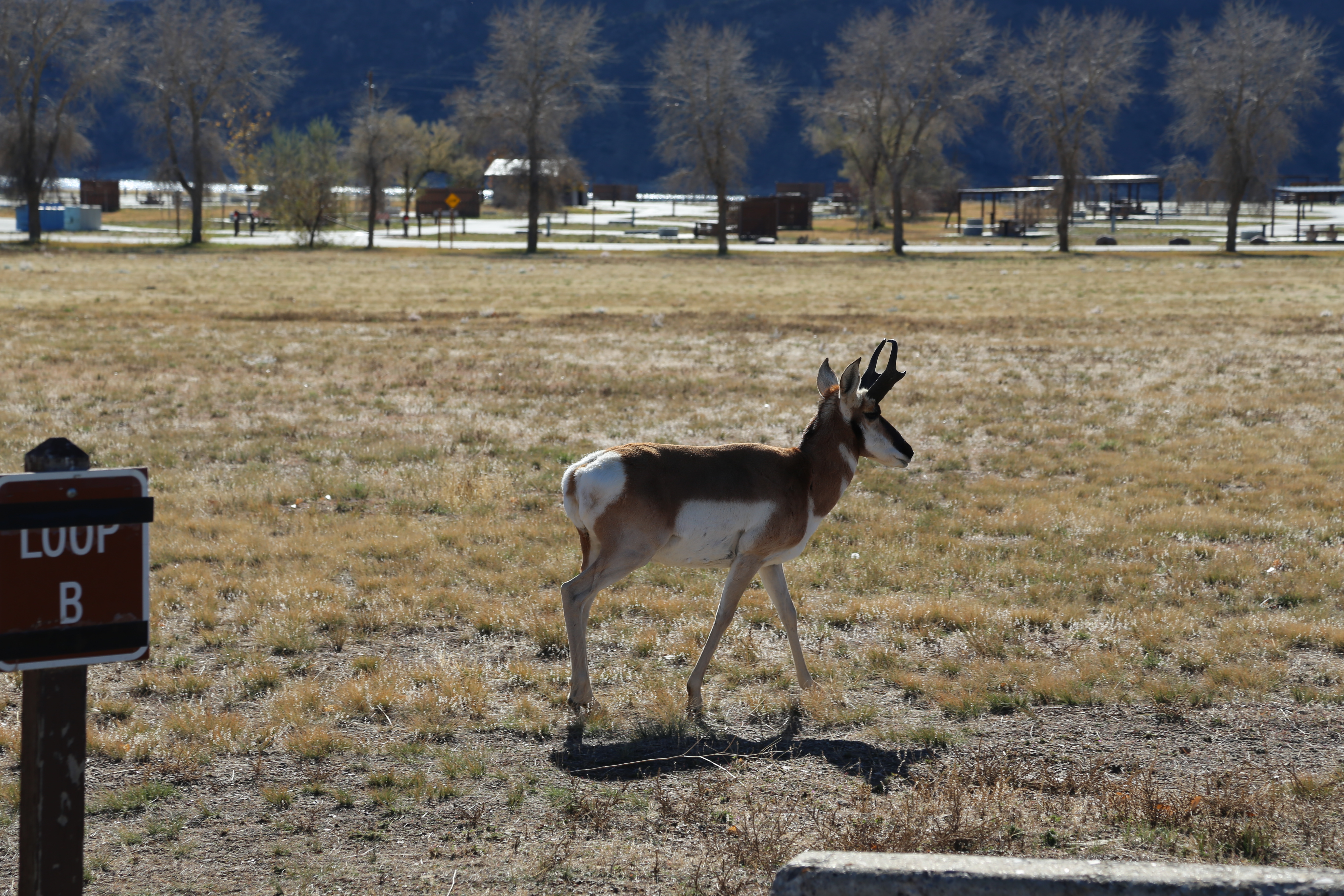 2016 Flaming Gorge Fishing Trip (Manila, Utah), Fort Bridger State Historic Site (Fort Bridger, Wyoming)