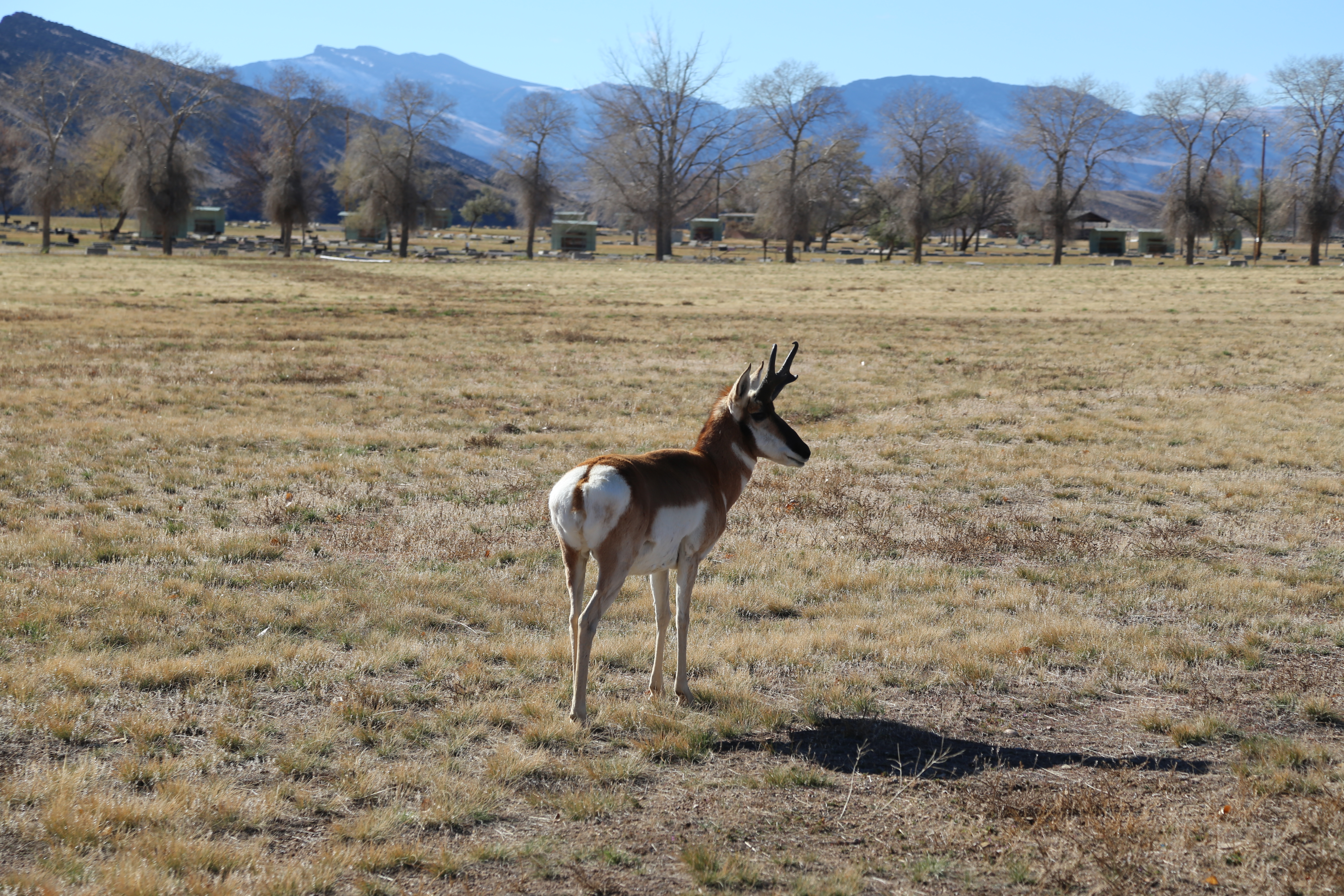 2016 Flaming Gorge Fishing Trip (Manila, Utah), Fort Bridger State Historic Site (Fort Bridger, Wyoming)