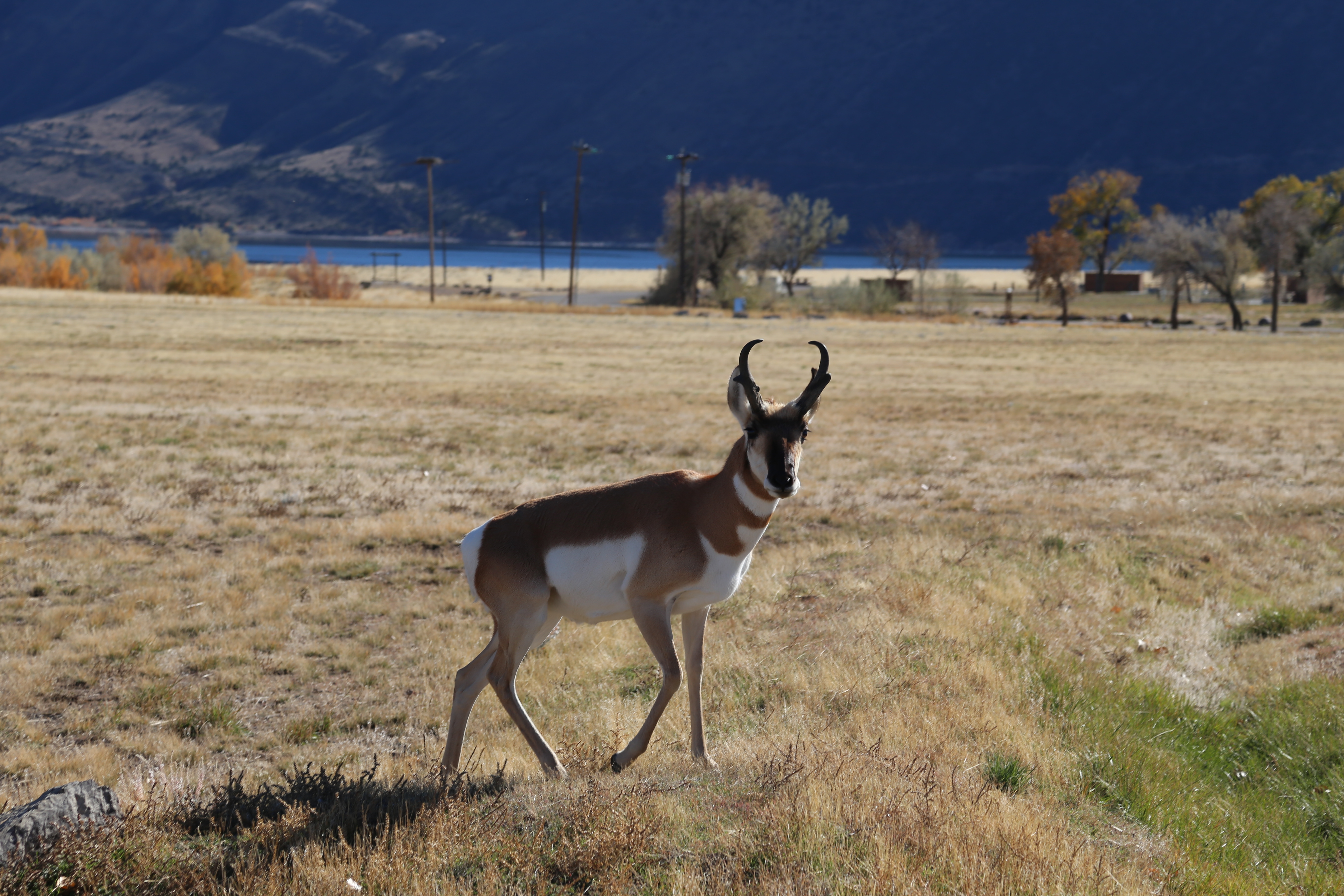 2016 Flaming Gorge Fishing Trip (Manila, Utah), Fort Bridger State Historic Site (Fort Bridger, Wyoming)