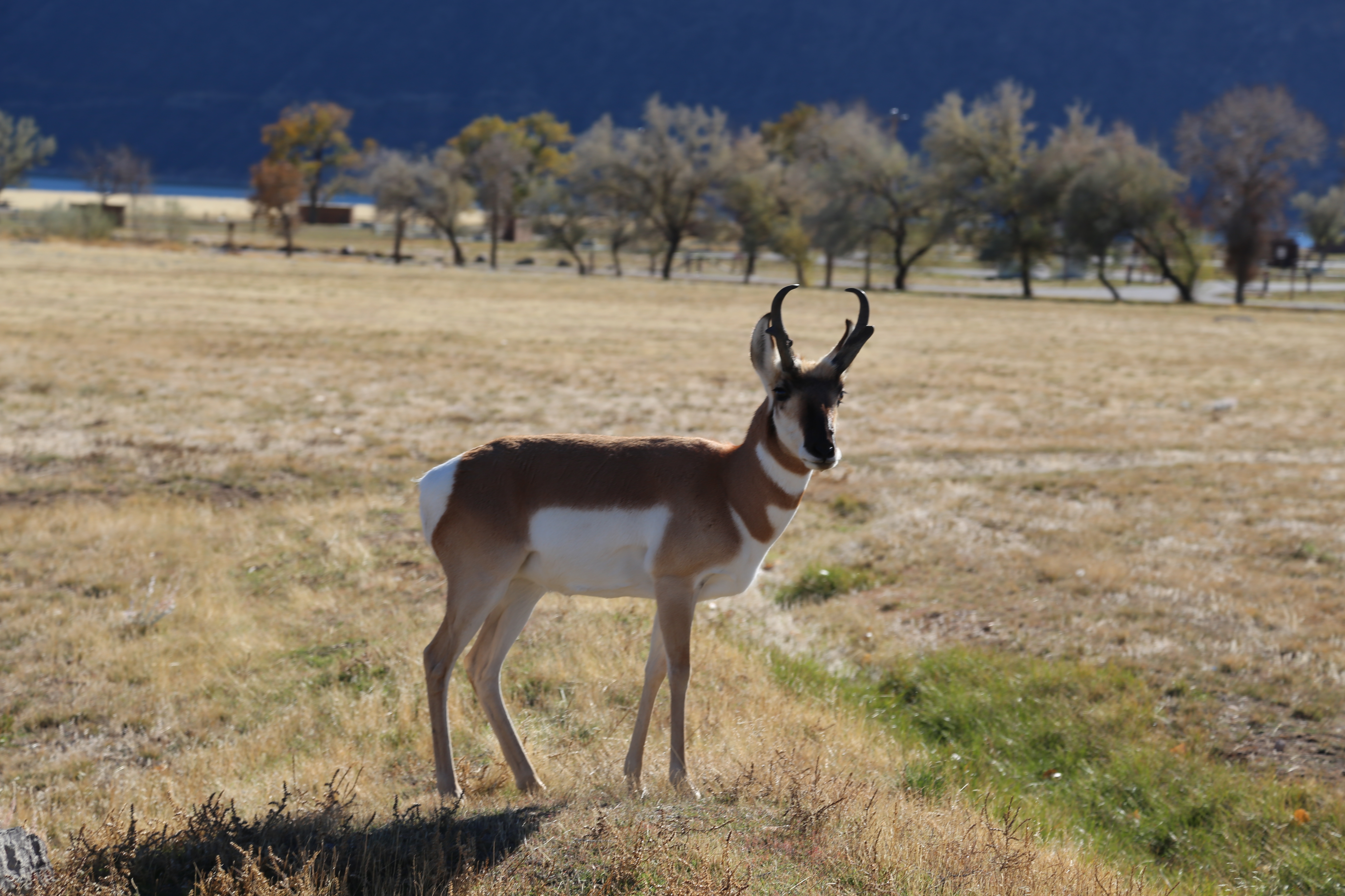 2016 Flaming Gorge Fishing Trip (Manila, Utah), Fort Bridger State Historic Site (Fort Bridger, Wyoming)