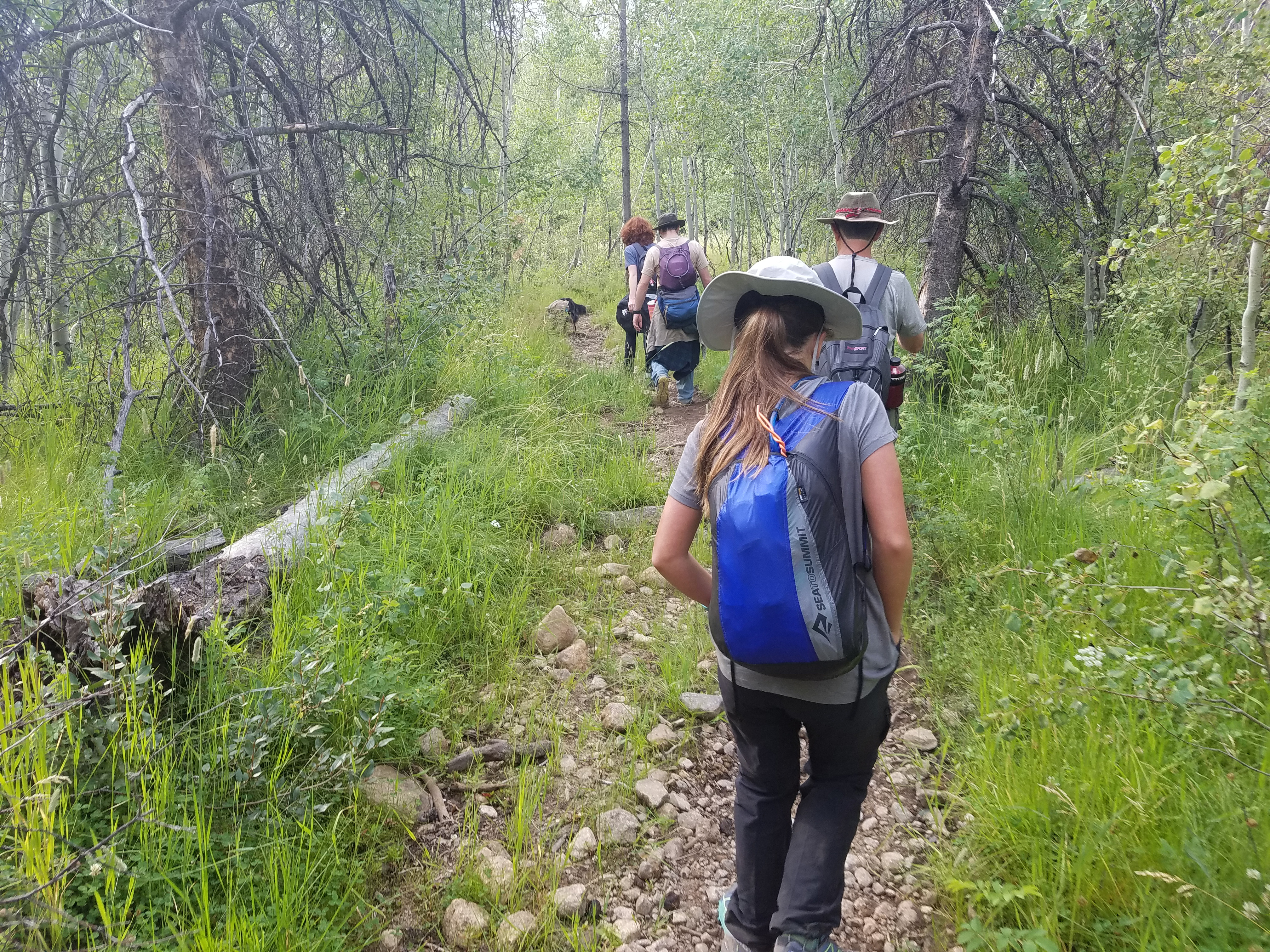 2017 Wind River Trip - Day 2 - Boulder Lake to Mt. Victor Basecamp (17.53 Miles, 4003 ft. Climb) (Wind River Range, Wyoming) 