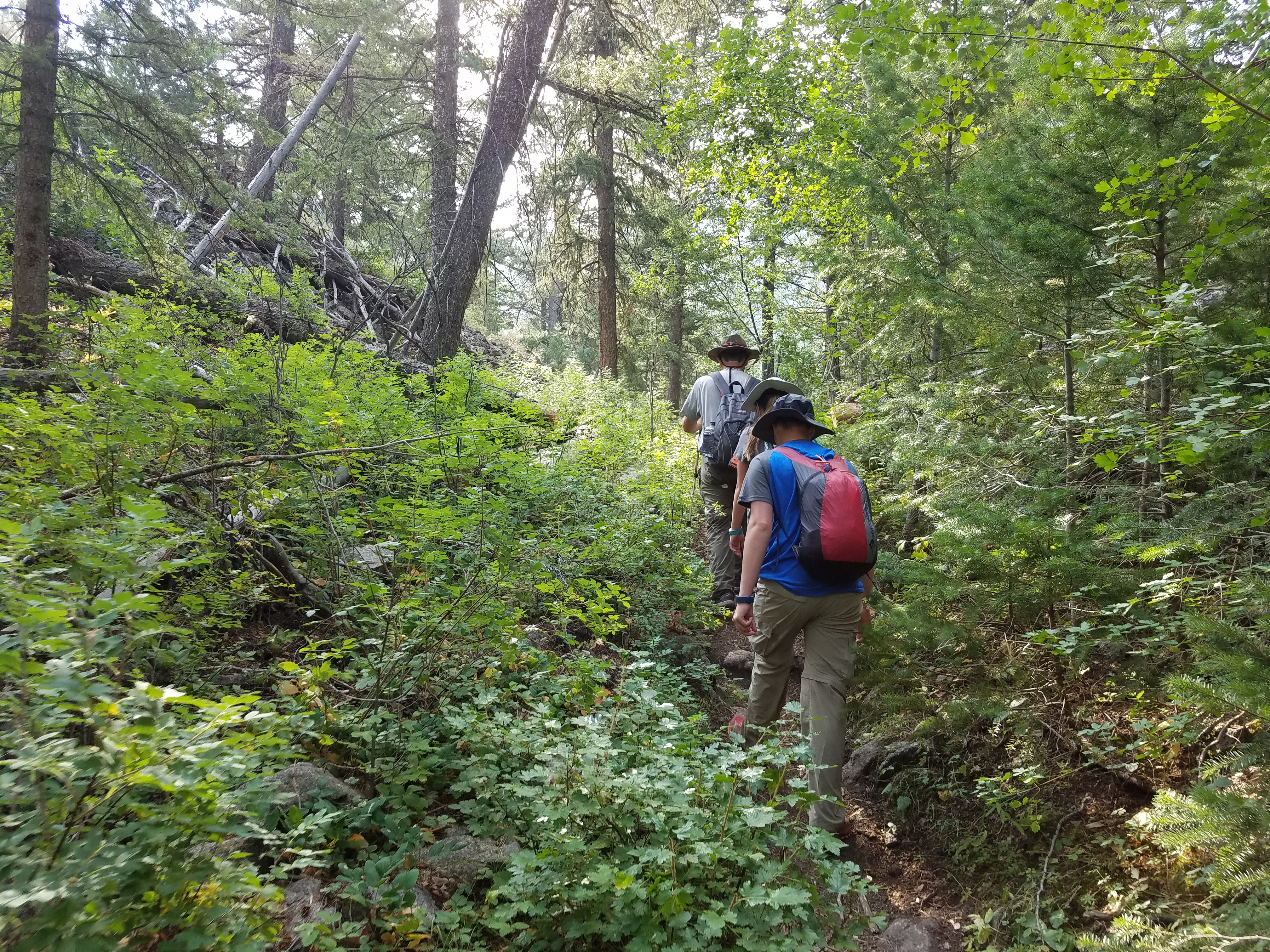 2017 Wind River Trip - Day 2 - Boulder Lake to Mt. Victor Basecamp (17.53 Miles, 4003 ft. Climb) (Wind River Range, Wyoming) 