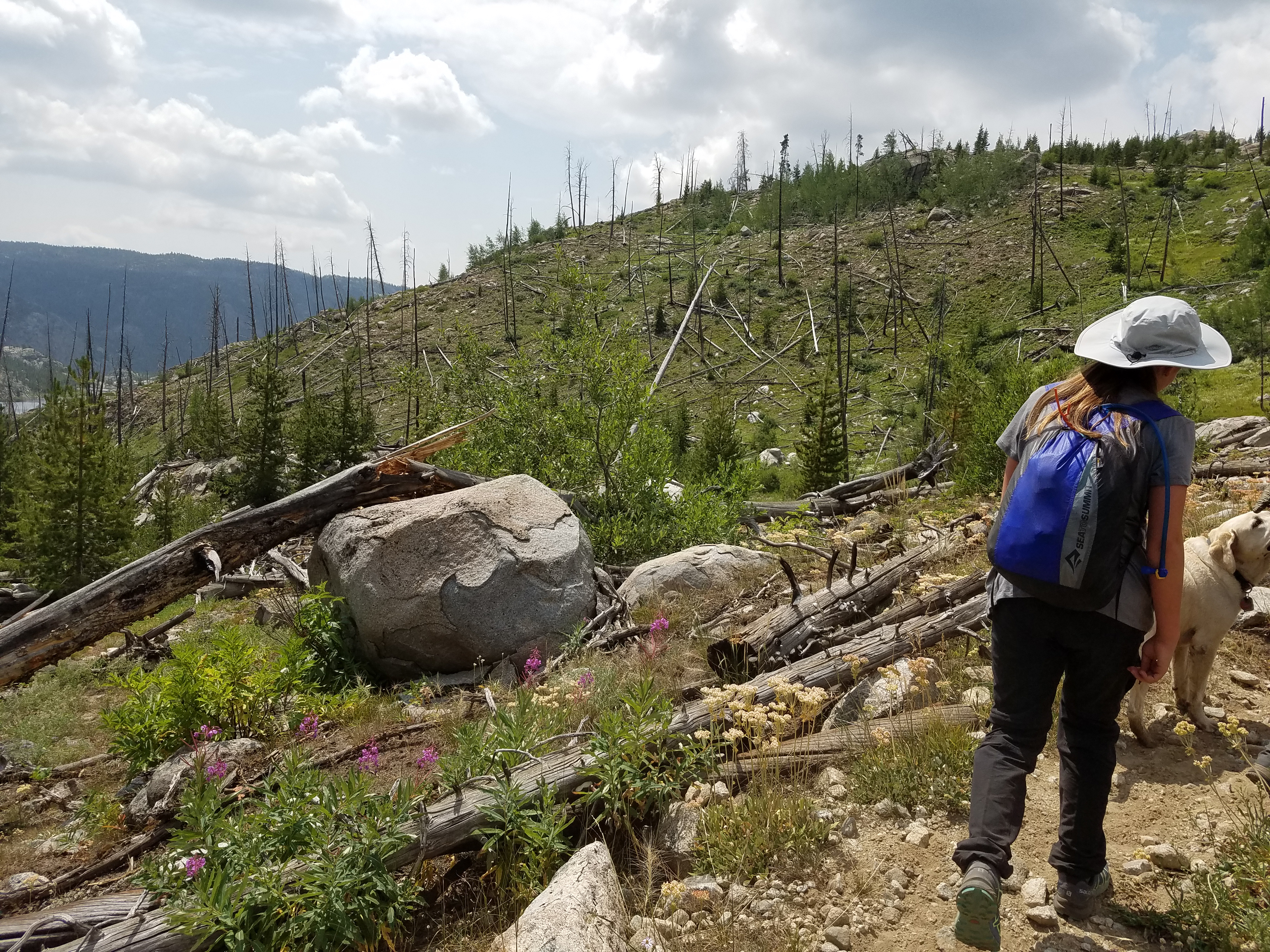 2017 Wind River Trip - Day 2 - Boulder Lake to Mt. Victor Basecamp (17.53 Miles, 4003 ft. Climb) (Wind River Range, Wyoming) 