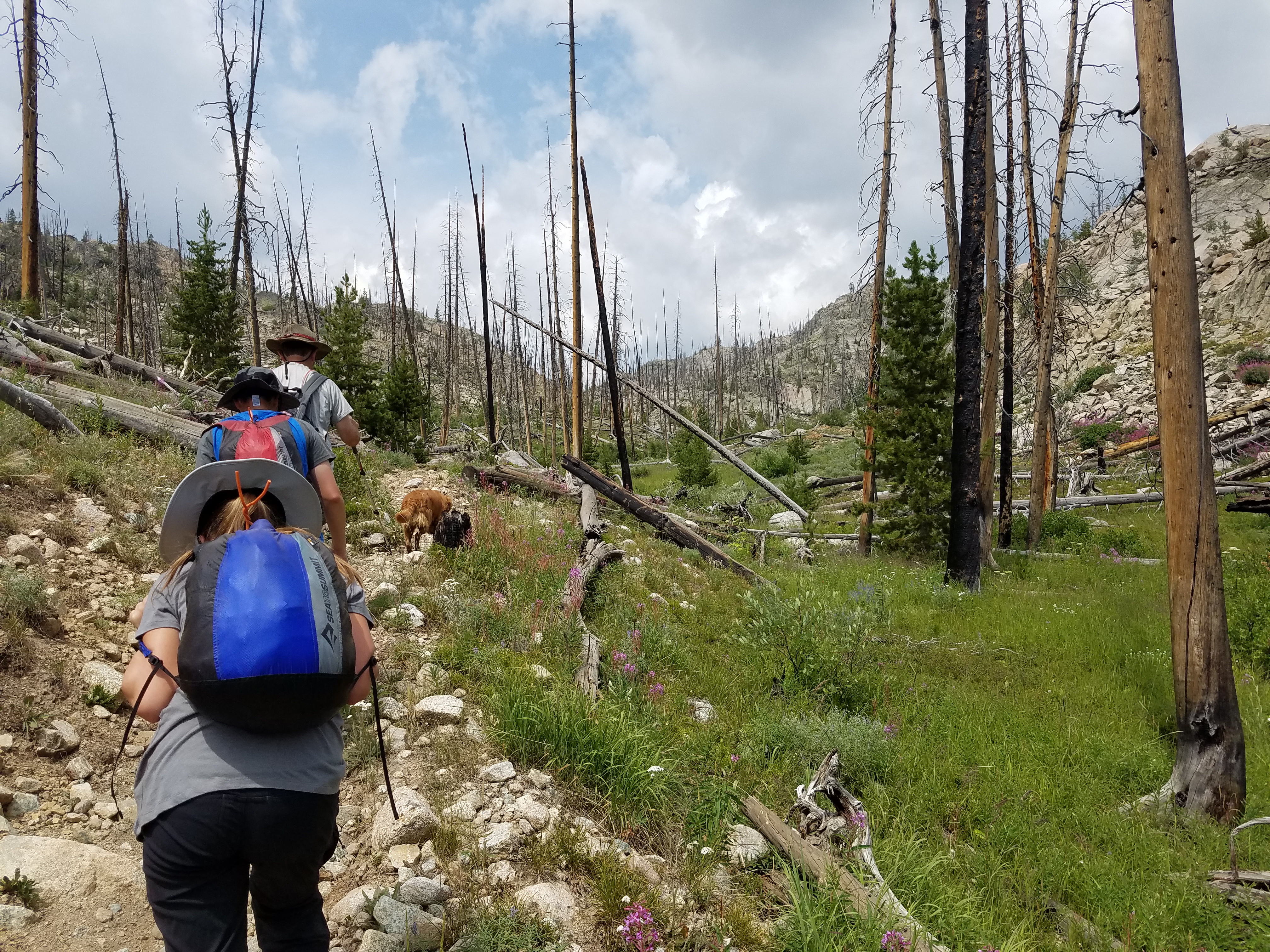 2017 Wind River Trip - Day 2 - Boulder Lake to Mt. Victor Basecamp (17.53 Miles, 4003 ft. Climb) (Wind River Range, Wyoming) 