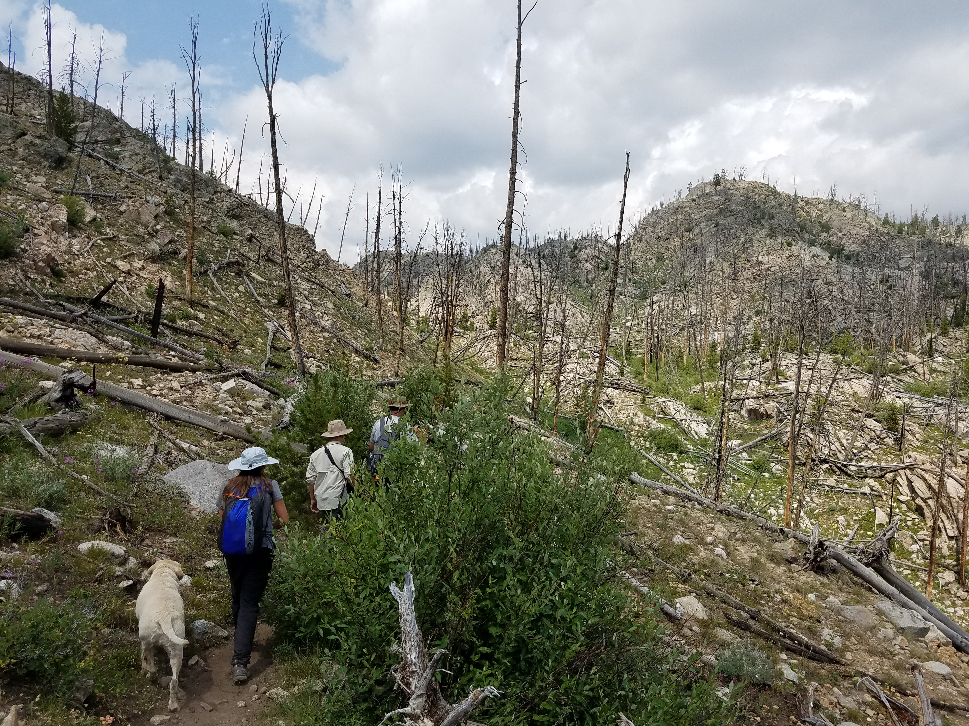 2017 Wind River Trip - Day 2 - Boulder Lake to Mt. Victor Basecamp (17.53 Miles, 4003 ft. Climb) (Wind River Range, Wyoming) 