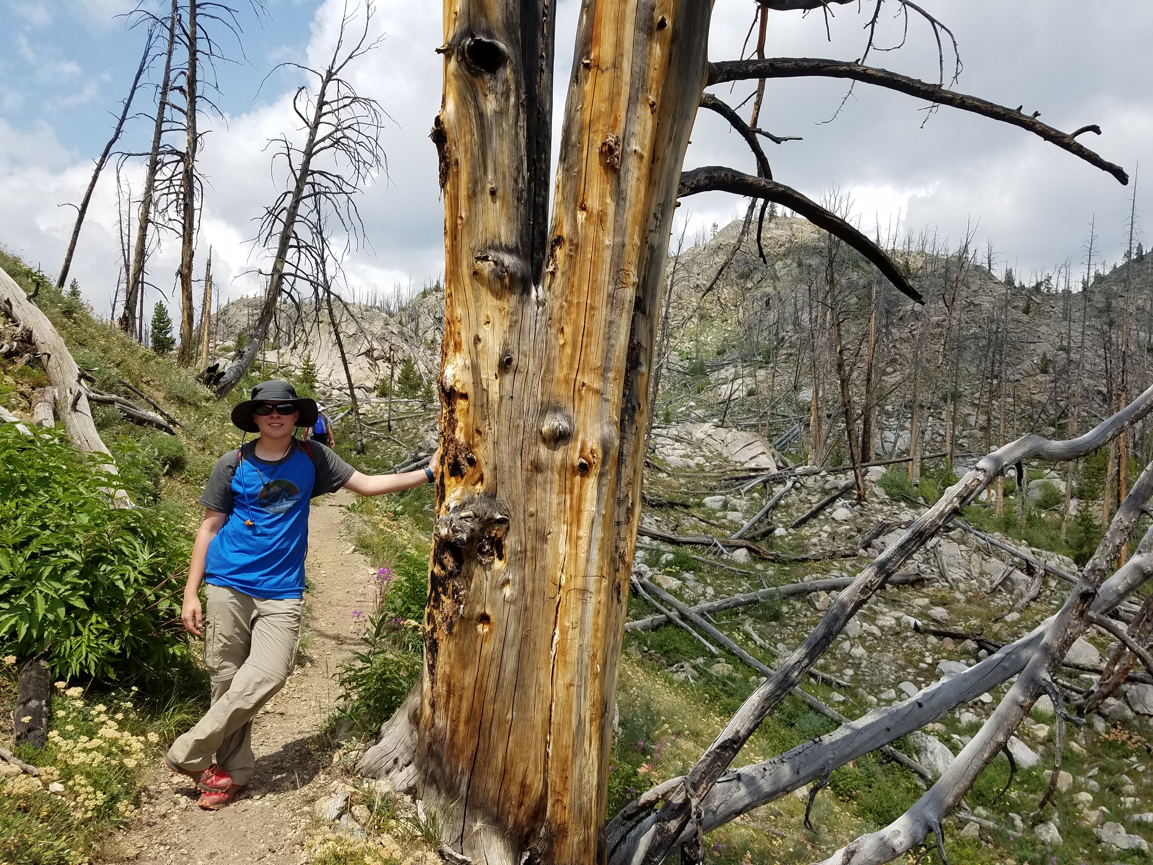 2017 Wind River Trip - Day 2 - Boulder Lake to Mt. Victor Basecamp (17.53 Miles, 4003 ft. Climb) (Wind River Range, Wyoming) 