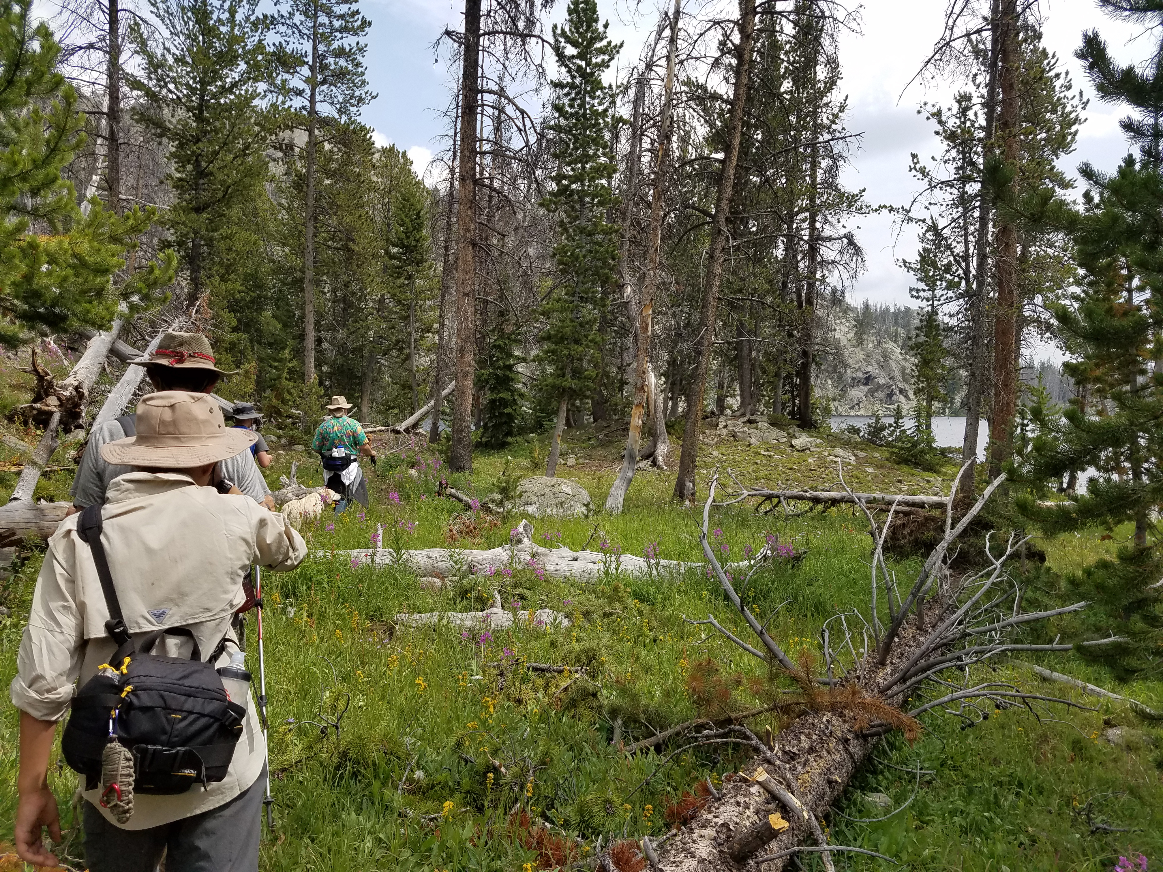 2017 Wind River Trip - Day 2 - Boulder Lake to Mt. Victor Basecamp (17.53 Miles, 4003 ft. Climb) (Wind River Range, Wyoming) 