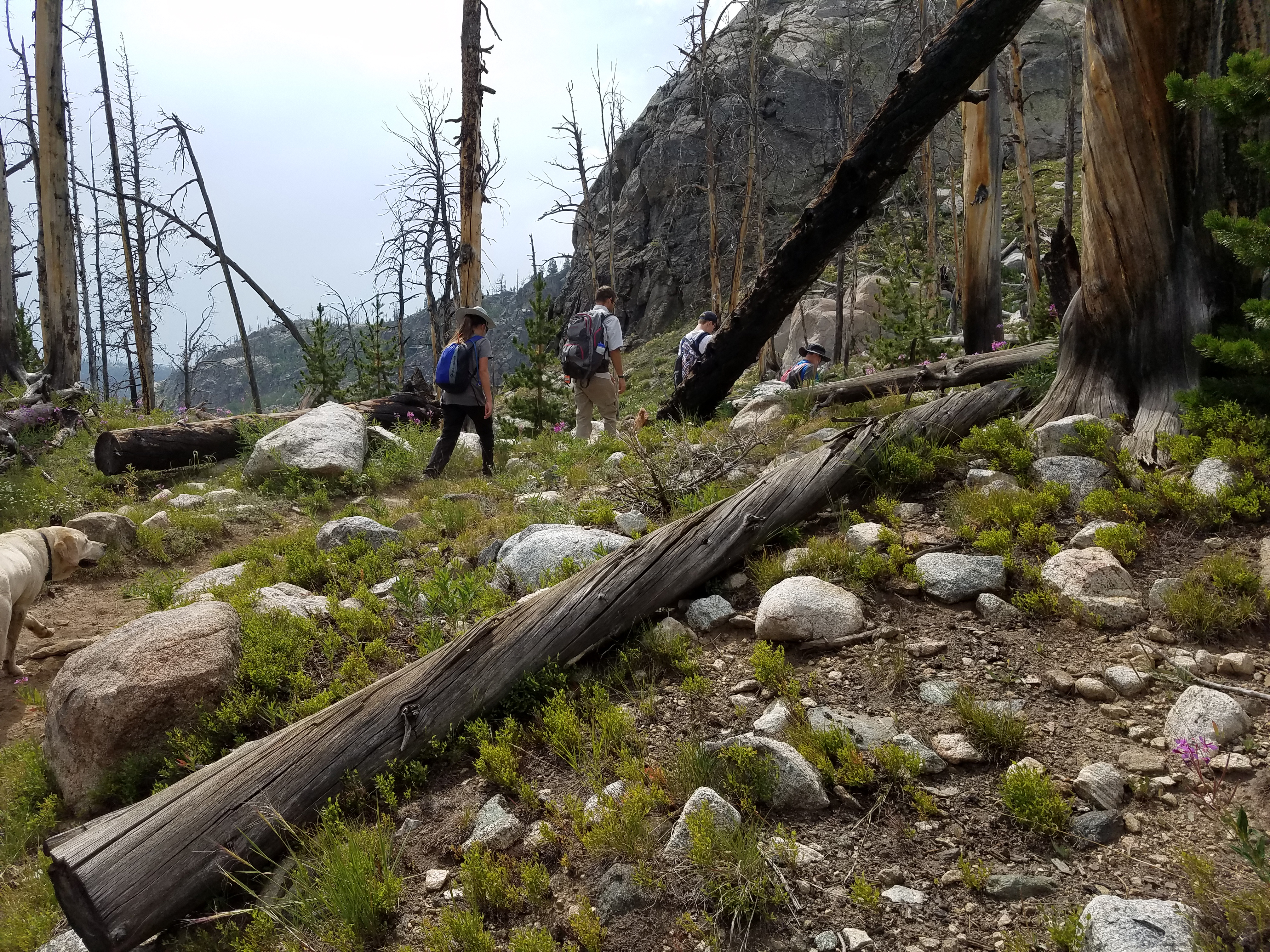 2017 Wind River Trip - Day 2 - Boulder Lake to Mt. Victor Basecamp (17.53 Miles, 4003 ft. Climb) (Wind River Range, Wyoming) 