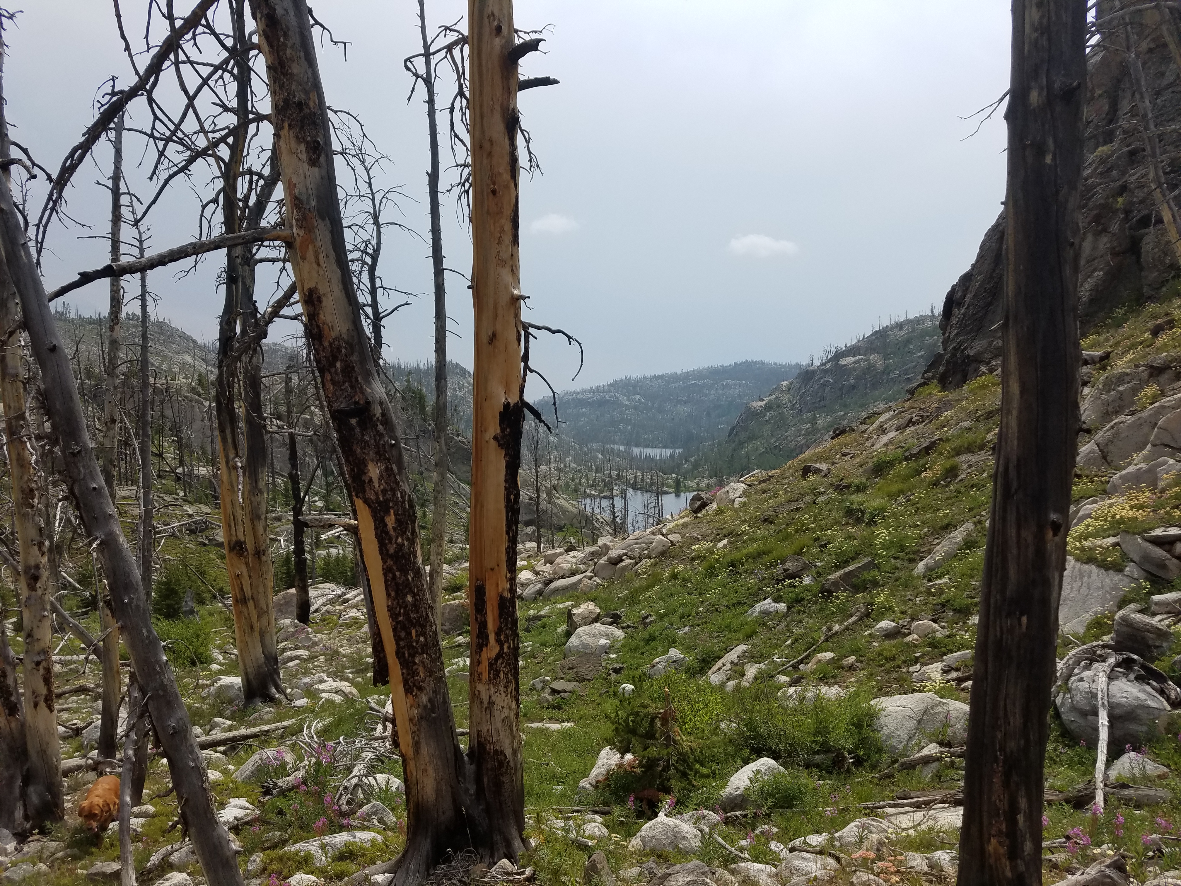 2017 Wind River Trip - Day 2 - Boulder Lake to Mt. Victor Basecamp (17.53 Miles, 4003 ft. Climb) (Wind River Range, Wyoming) 