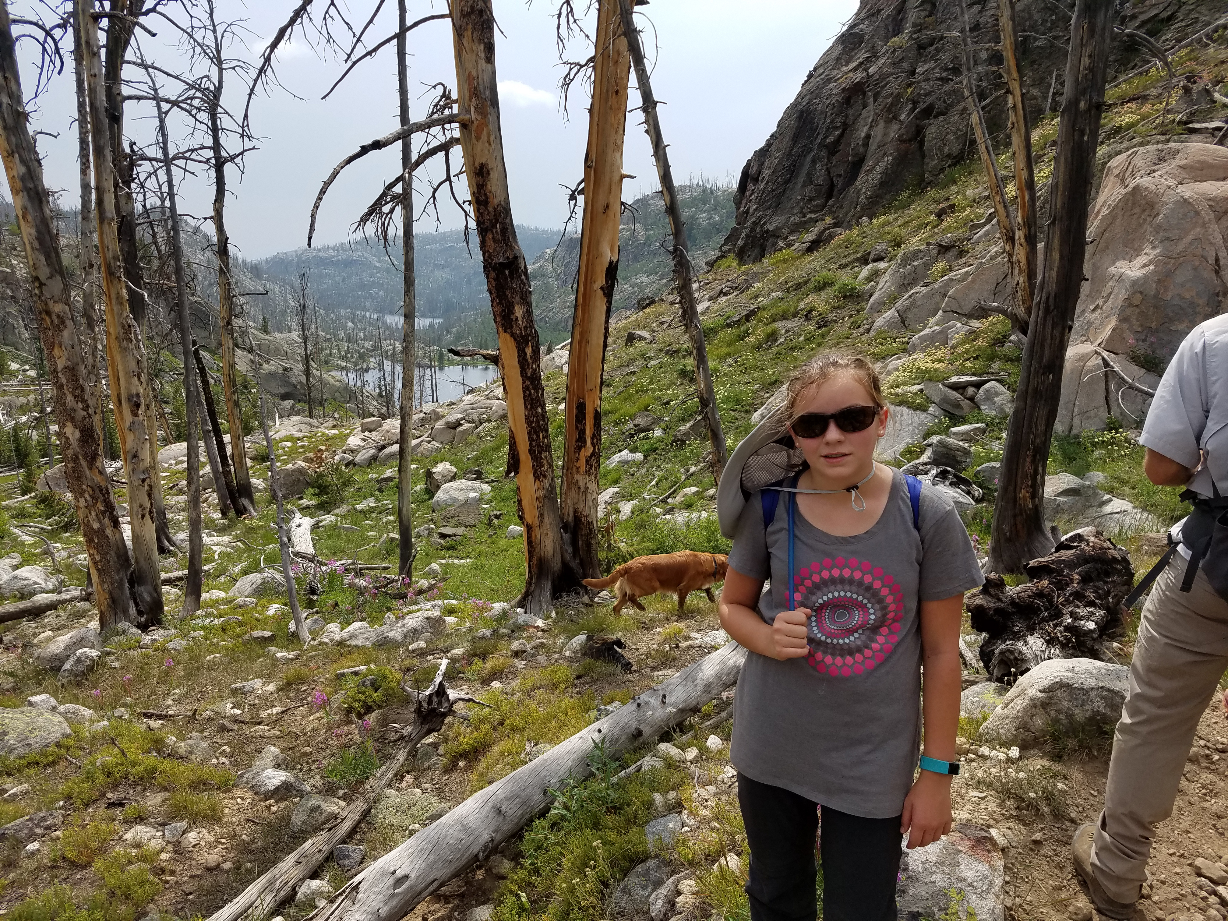 2017 Wind River Trip - Day 2 - Boulder Lake to Mt. Victor Basecamp (17.53 Miles, 4003 ft. Climb) (Wind River Range, Wyoming) 