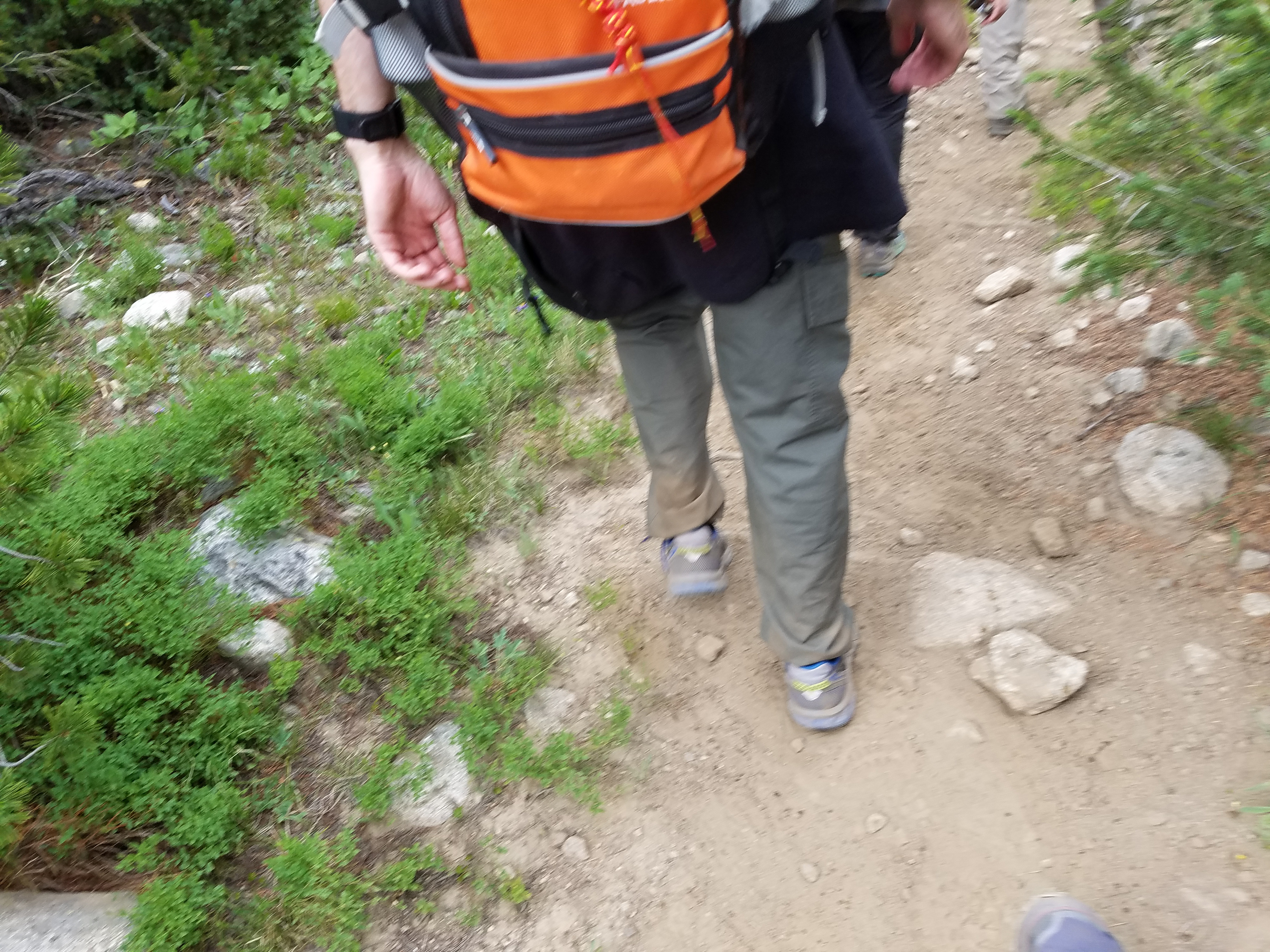 2017 Wind River Trip - Day 2 - Boulder Lake to Mt. Victor Basecamp (17.53 Miles, 4003 ft. Climb) (Wind River Range, Wyoming) 