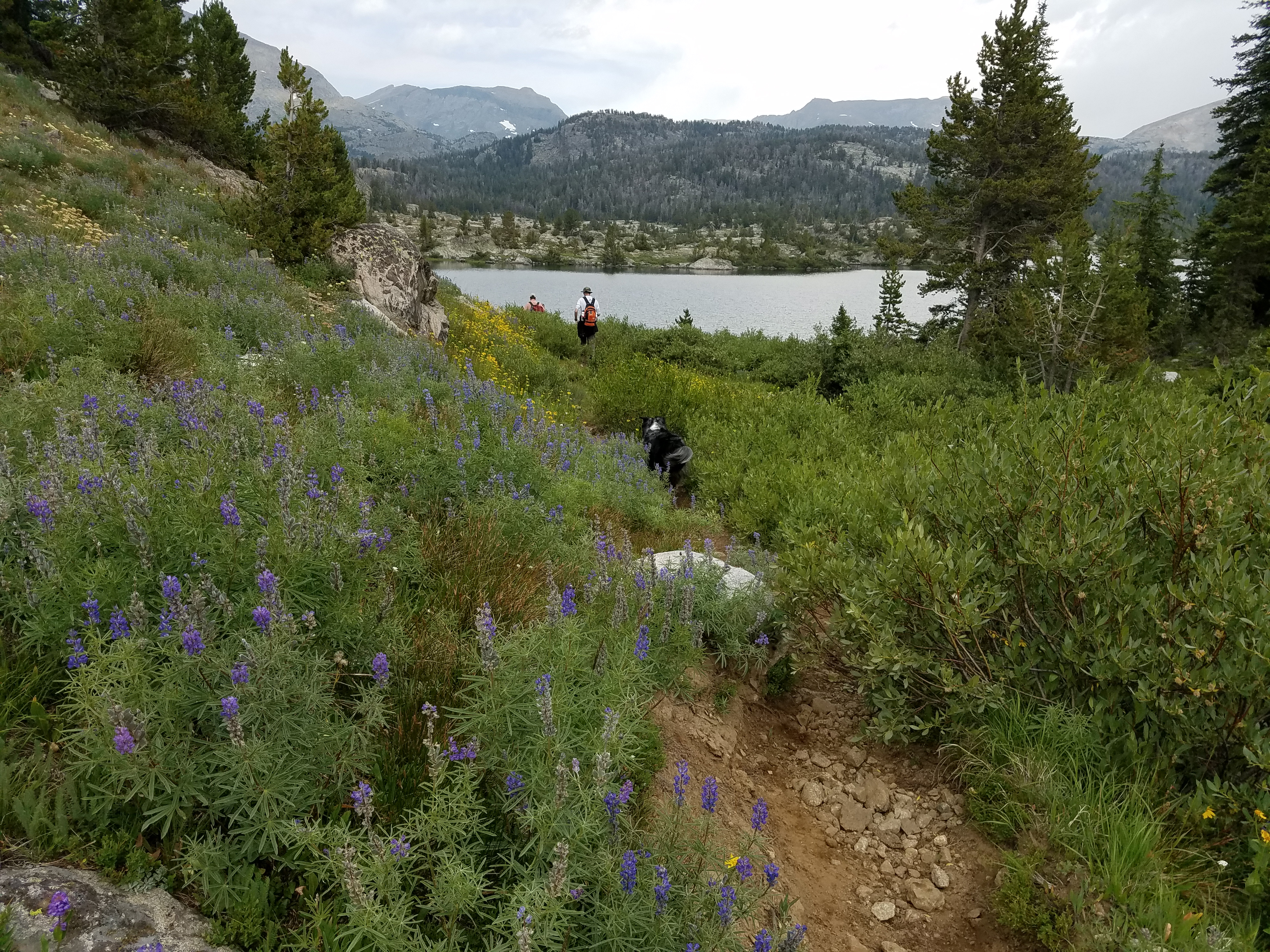 2017 Wind River Trip - Day 2 - Boulder Lake to Mt. Victor Basecamp (17.53 Miles, 4003 ft. Climb) (Wind River Range, Wyoming) 