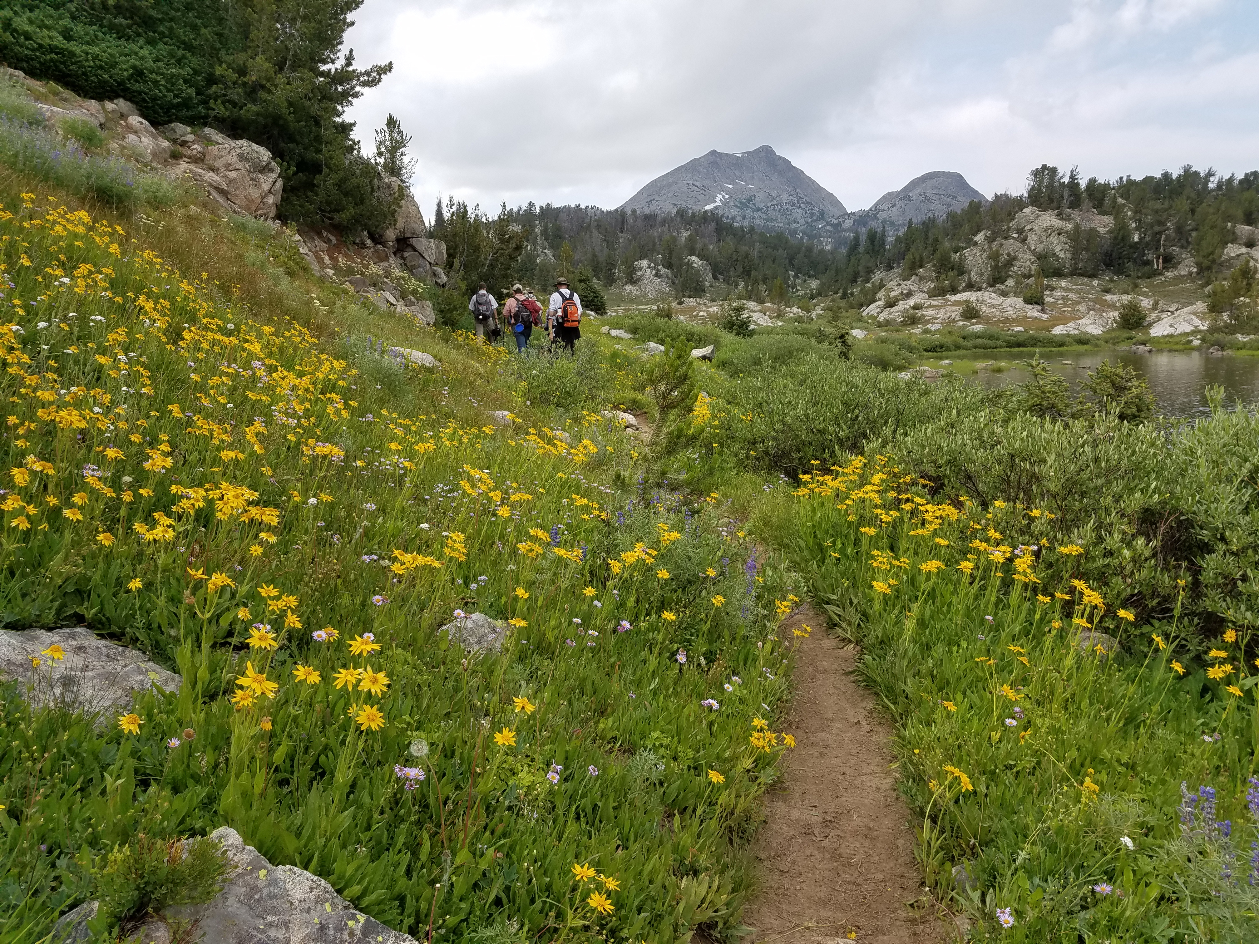 2017 Wind River Trip - Day 2 - Boulder Lake to Mt. Victor Basecamp (17.53 Miles, 4003 ft. Climb) (Wind River Range, Wyoming) 