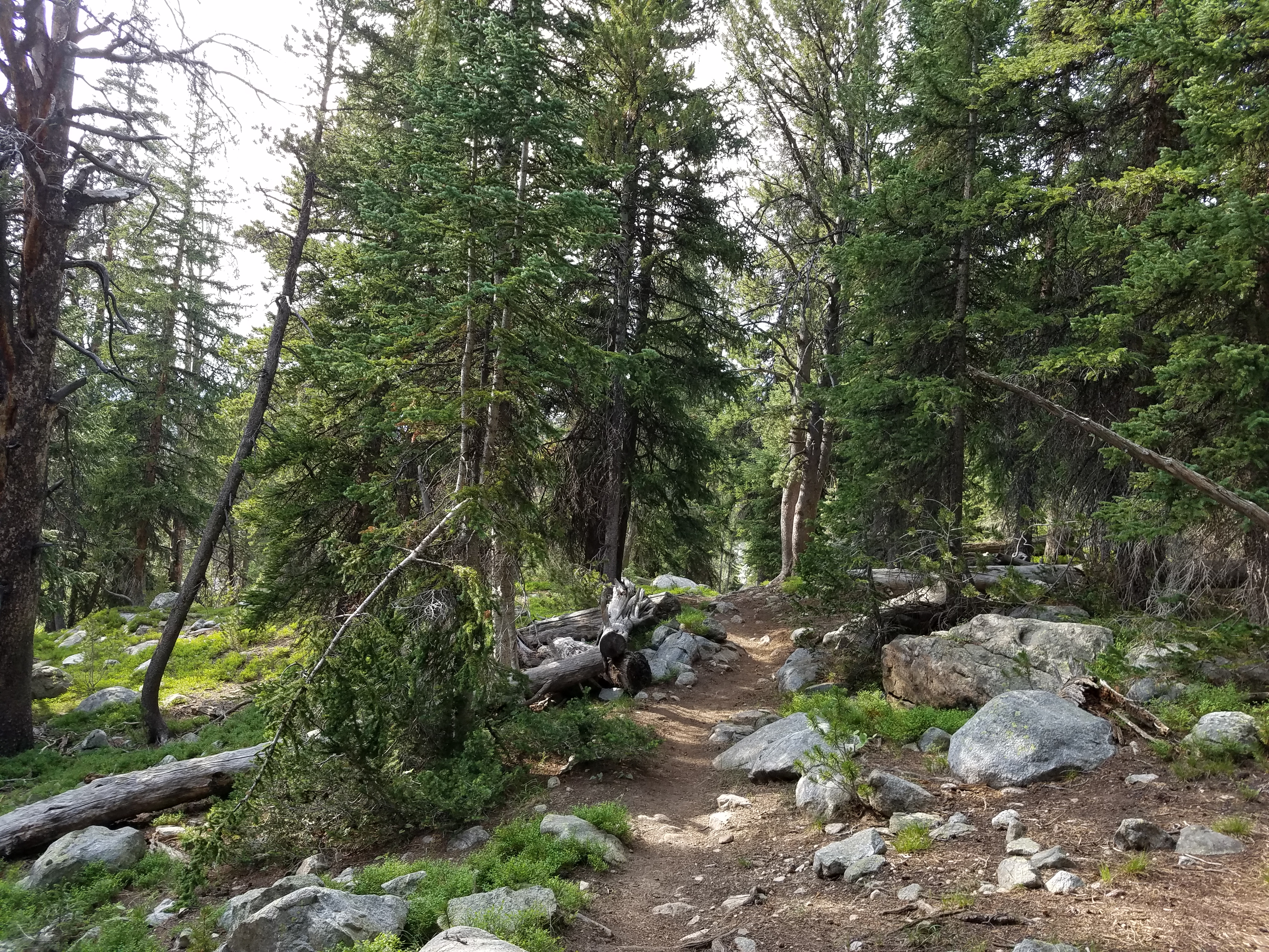 2017 Wind River Trip - Day 2 - Boulder Lake to Mt. Victor Basecamp (17.53 Miles, 4003 ft. Climb) (Wind River Range, Wyoming) 