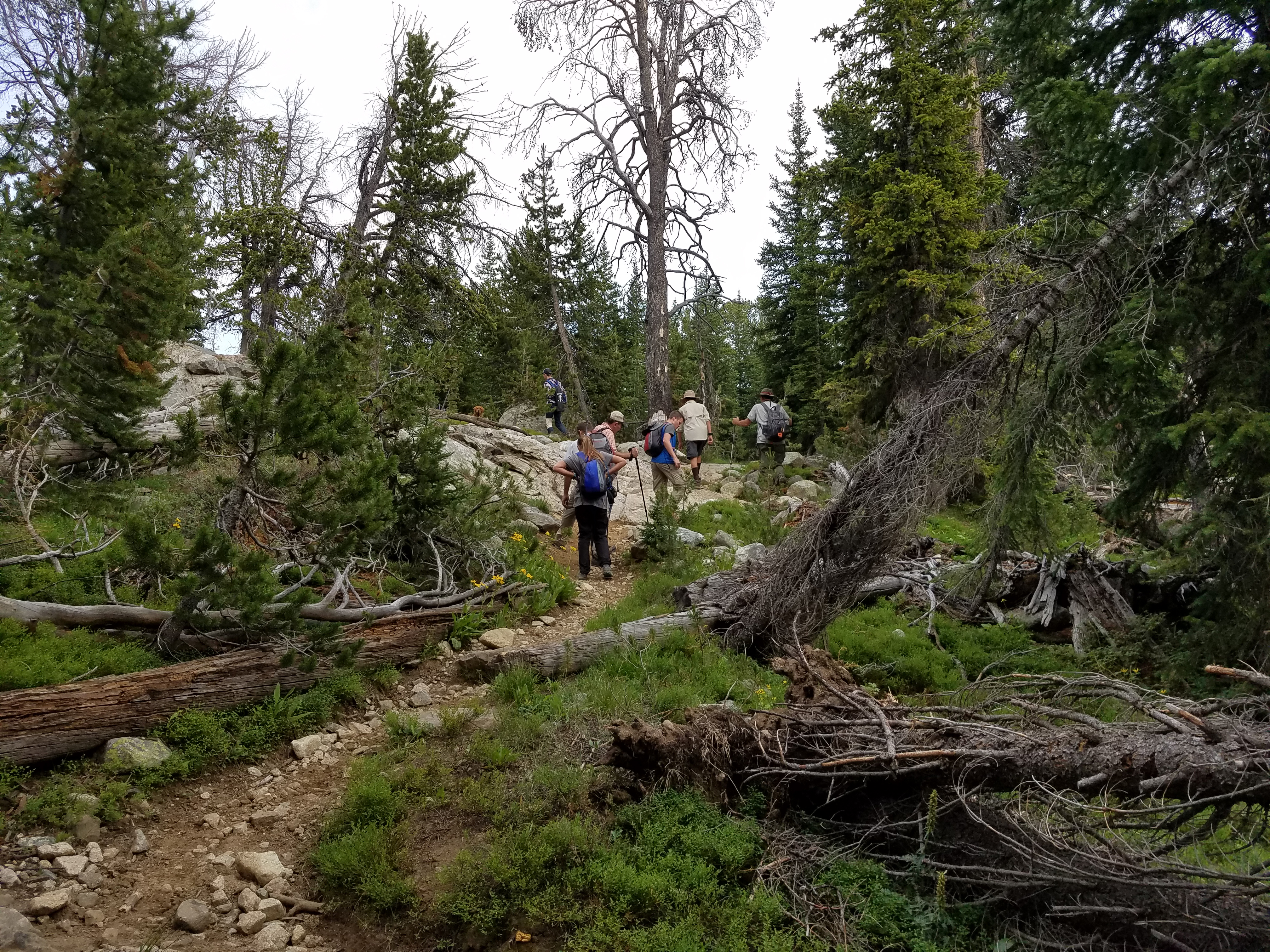 2017 Wind River Trip - Day 2 - Boulder Lake to Mt. Victor Basecamp (17.53 Miles, 4003 ft. Climb) (Wind River Range, Wyoming) 