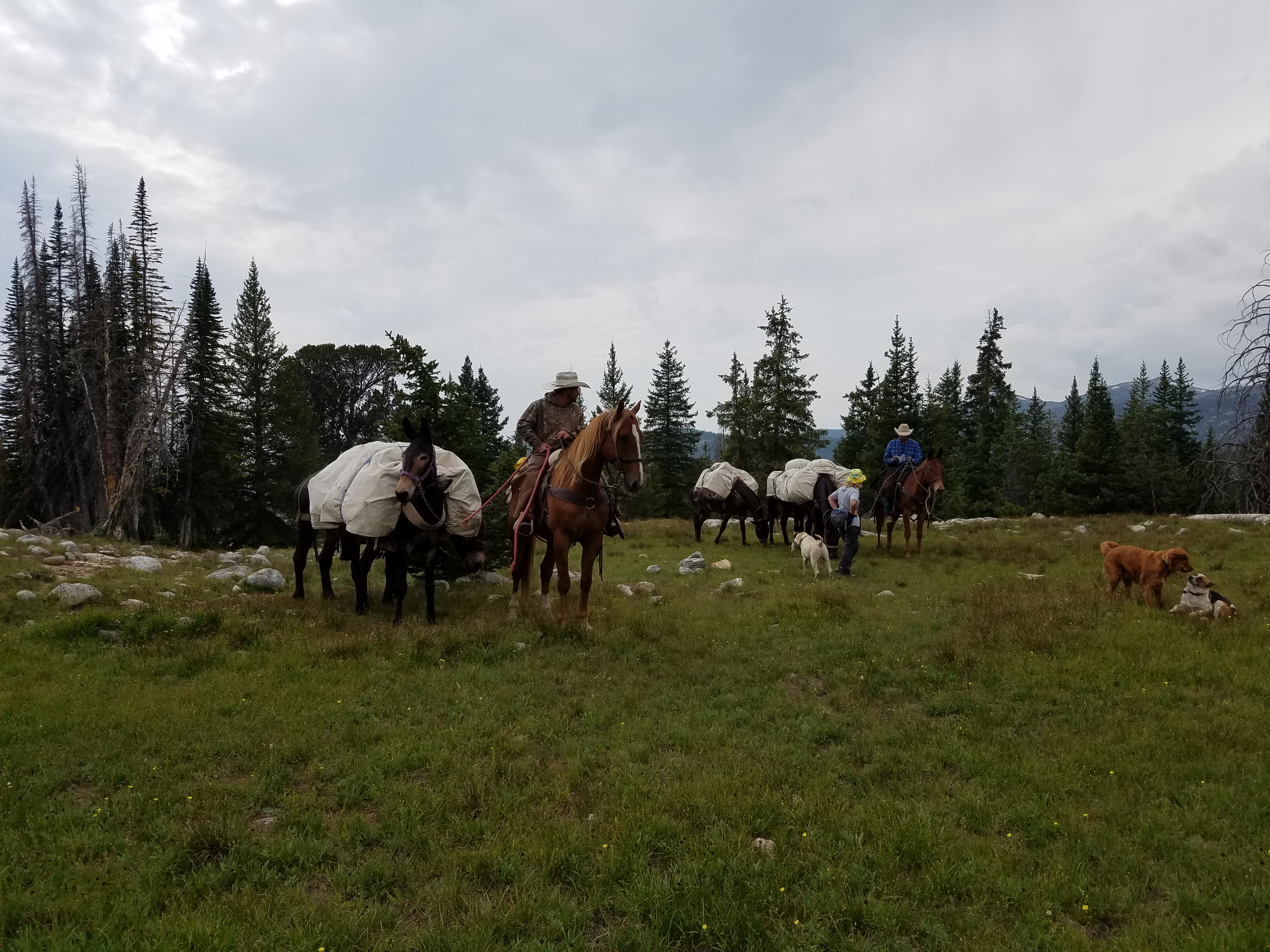 2017 Wind River Trip - Day 2 - Boulder Lake to Mt. Victor Basecamp (17.53 Miles, 4003 ft. Climb) (Wind River Range, Wyoming) 