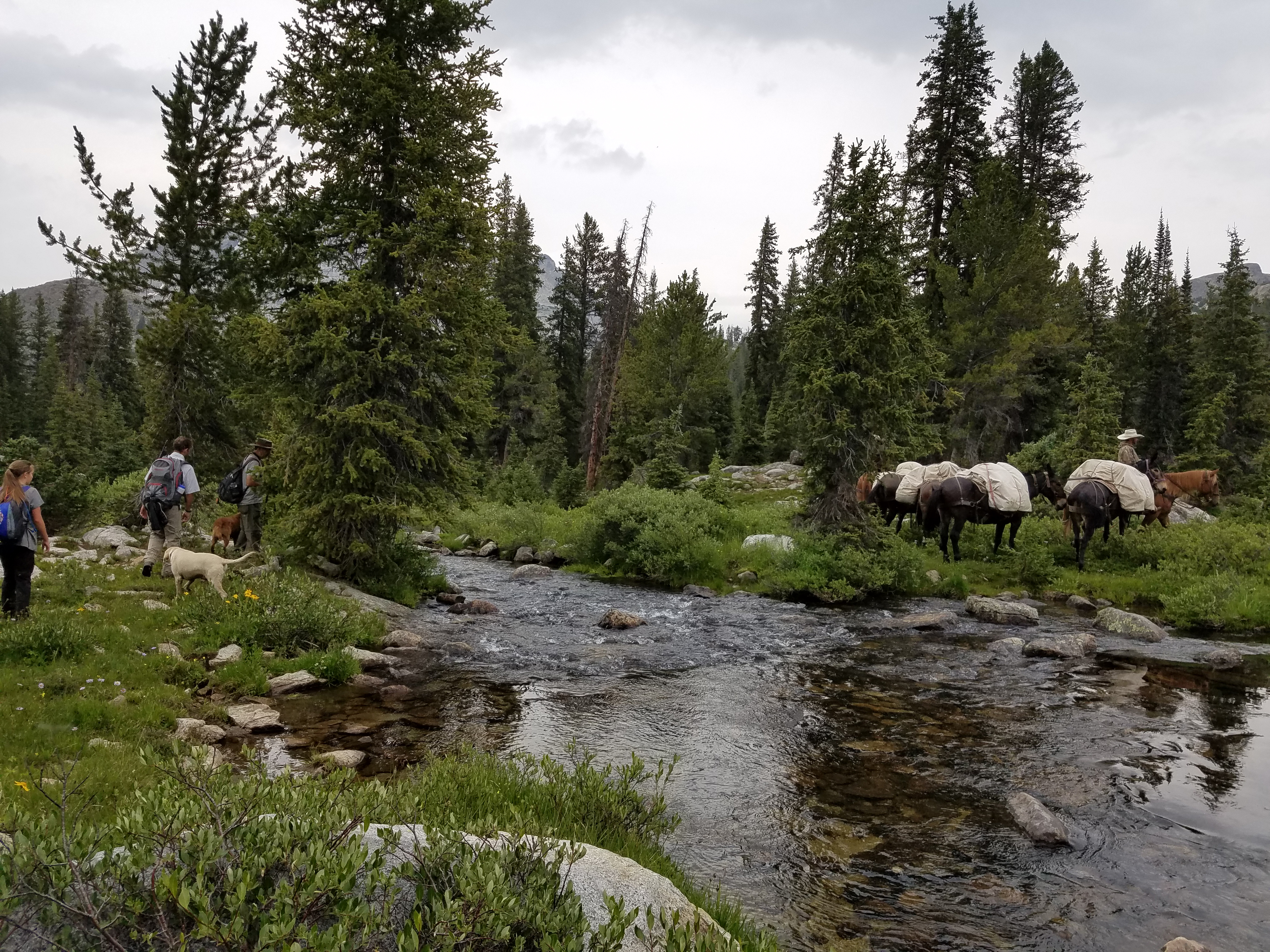 2017 Wind River Trip - Day 2 - Boulder Lake to Mt. Victor Basecamp (17.53 Miles, 4003 ft. Climb) (Wind River Range, Wyoming) 