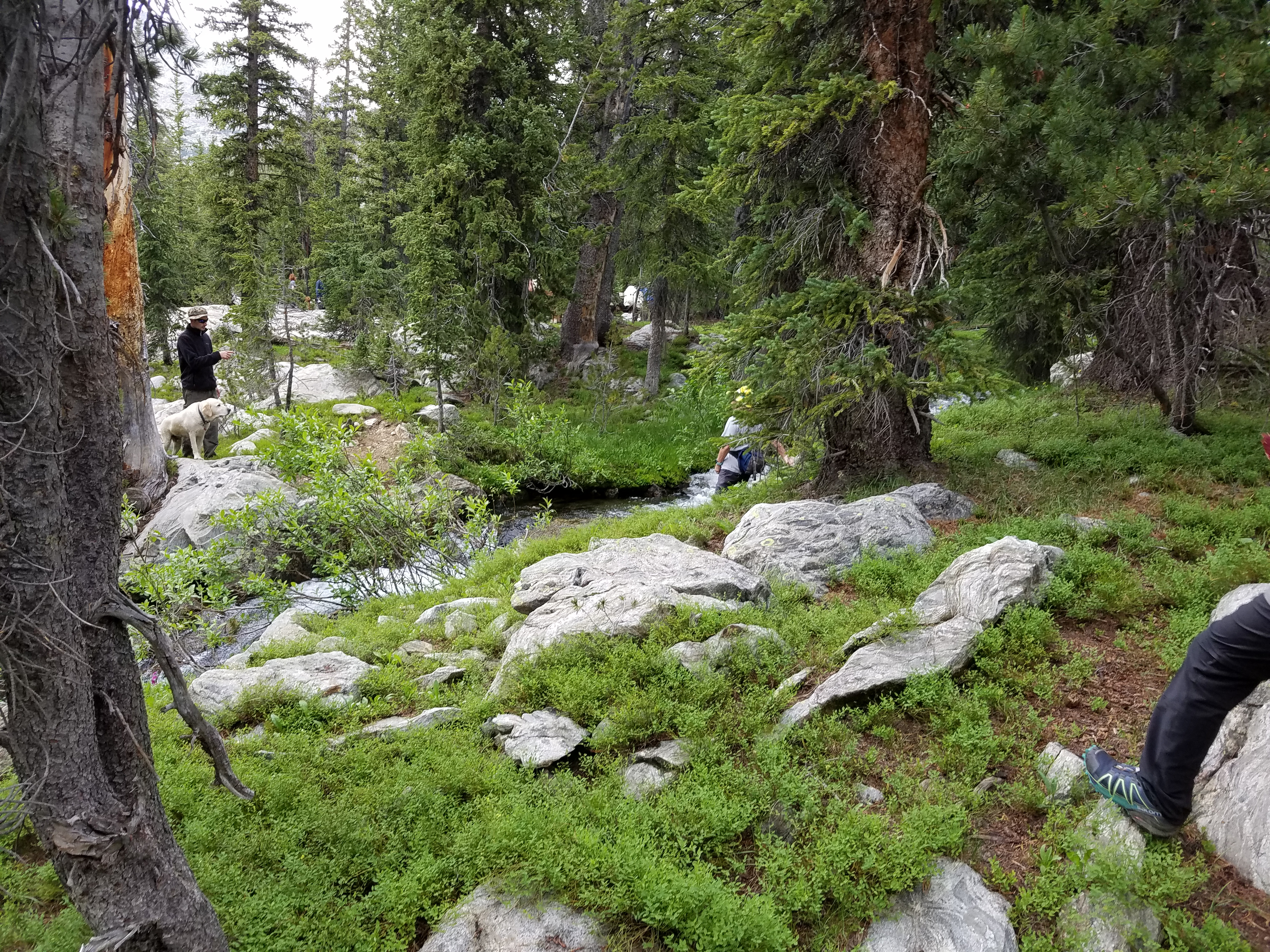 2017 Wind River Trip - Day 2 - Boulder Lake to Mt. Victor Basecamp (17.53 Miles, 4003 ft. Climb) (Wind River Range, Wyoming) 