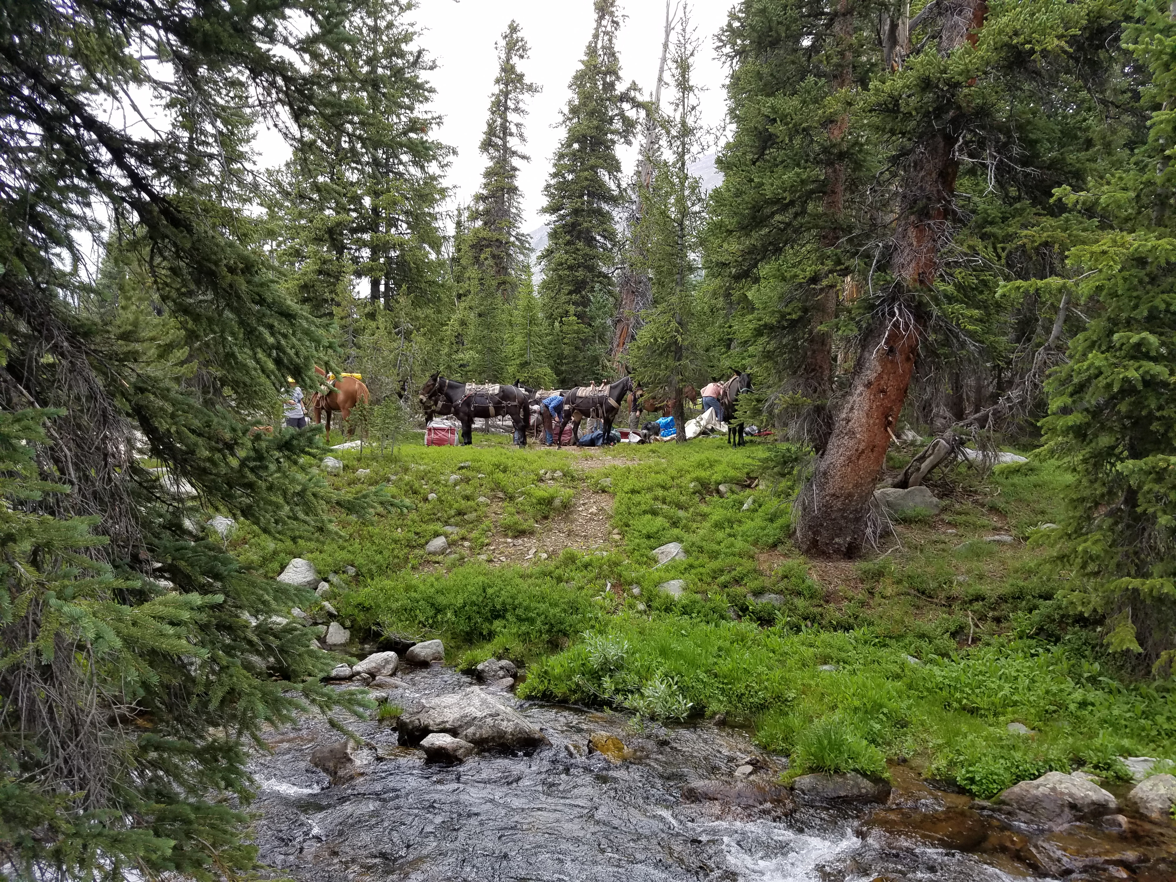 2017 Wind River Trip - Day 2 - Boulder Lake to Mt. Victor Basecamp (17.53 Miles, 4003 ft. Climb) (Wind River Range, Wyoming) 