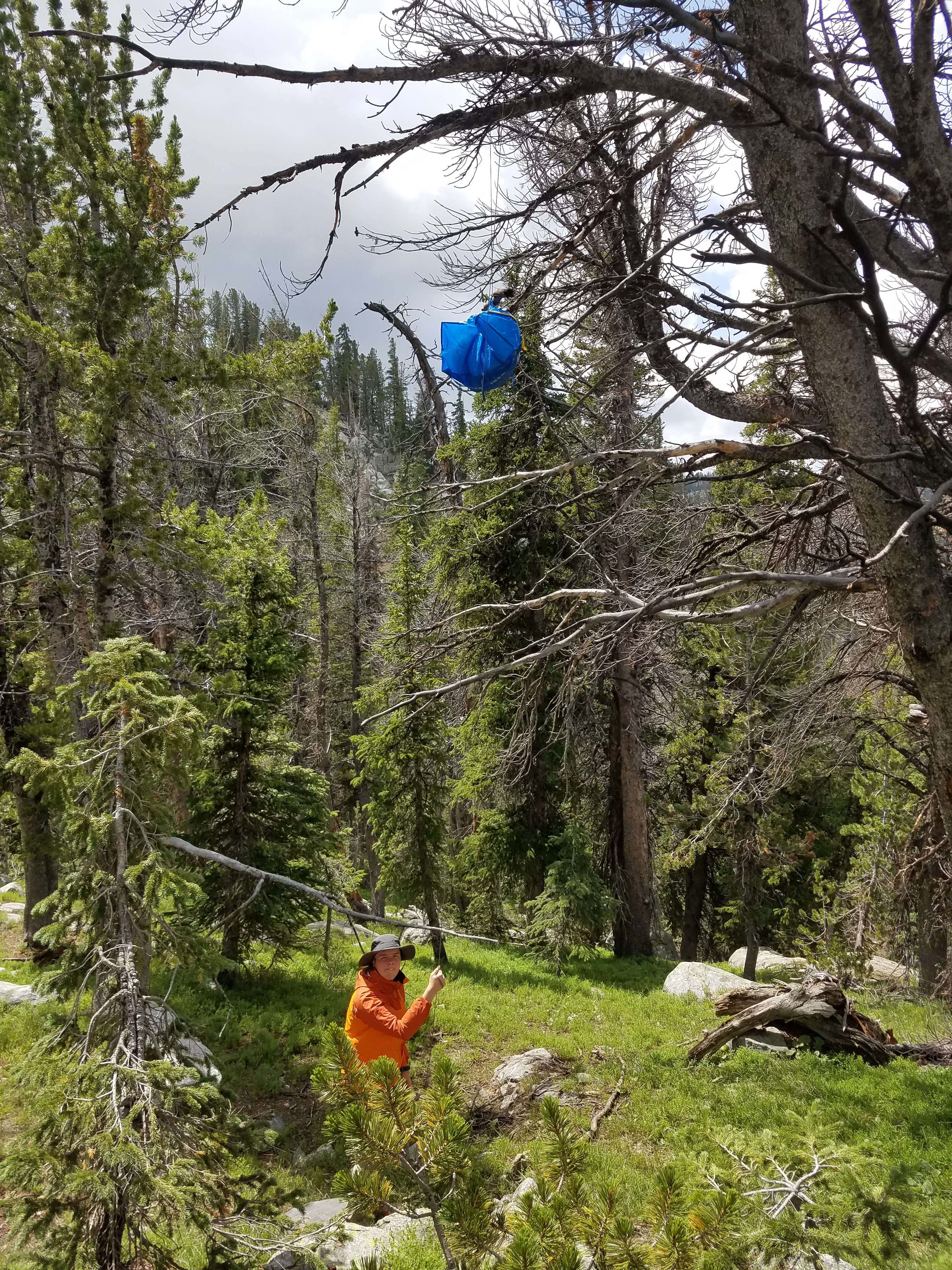 2017 Wind River Trip - Day 3 - Setting up Camp, Hailstorm, Fishing at Victor Lake, Swimming Like A Bald Eagle, Fresh Fish for Dinner (Wind River Range, Wyoming)