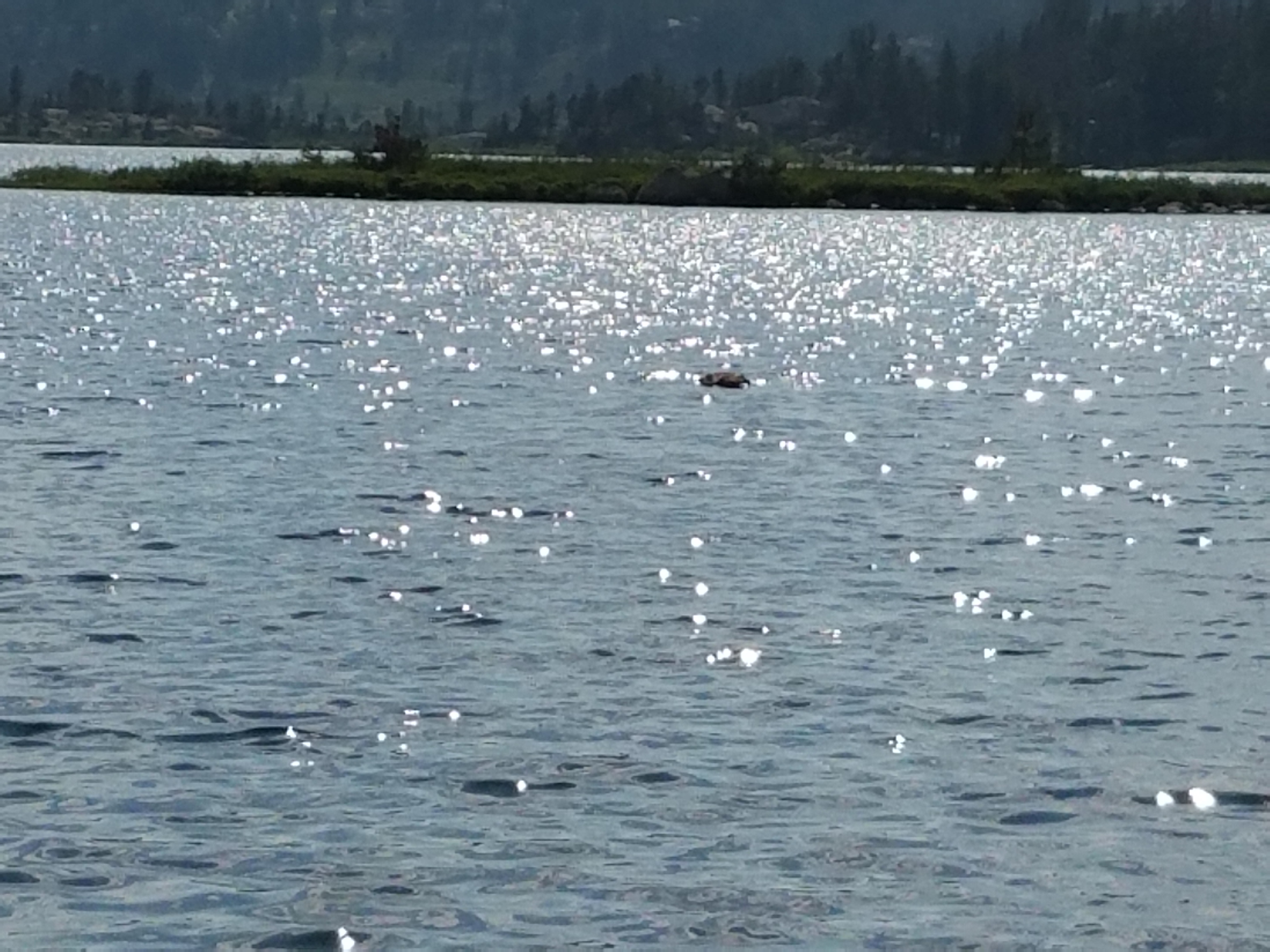 2017 Wind River Trip - Day 3 - Setting up Camp, Hailstorm, Fishing at Victor Lake, Swimming Like A Bald Eagle, Fresh Fish for Dinner (Wind River Range, Wyoming)