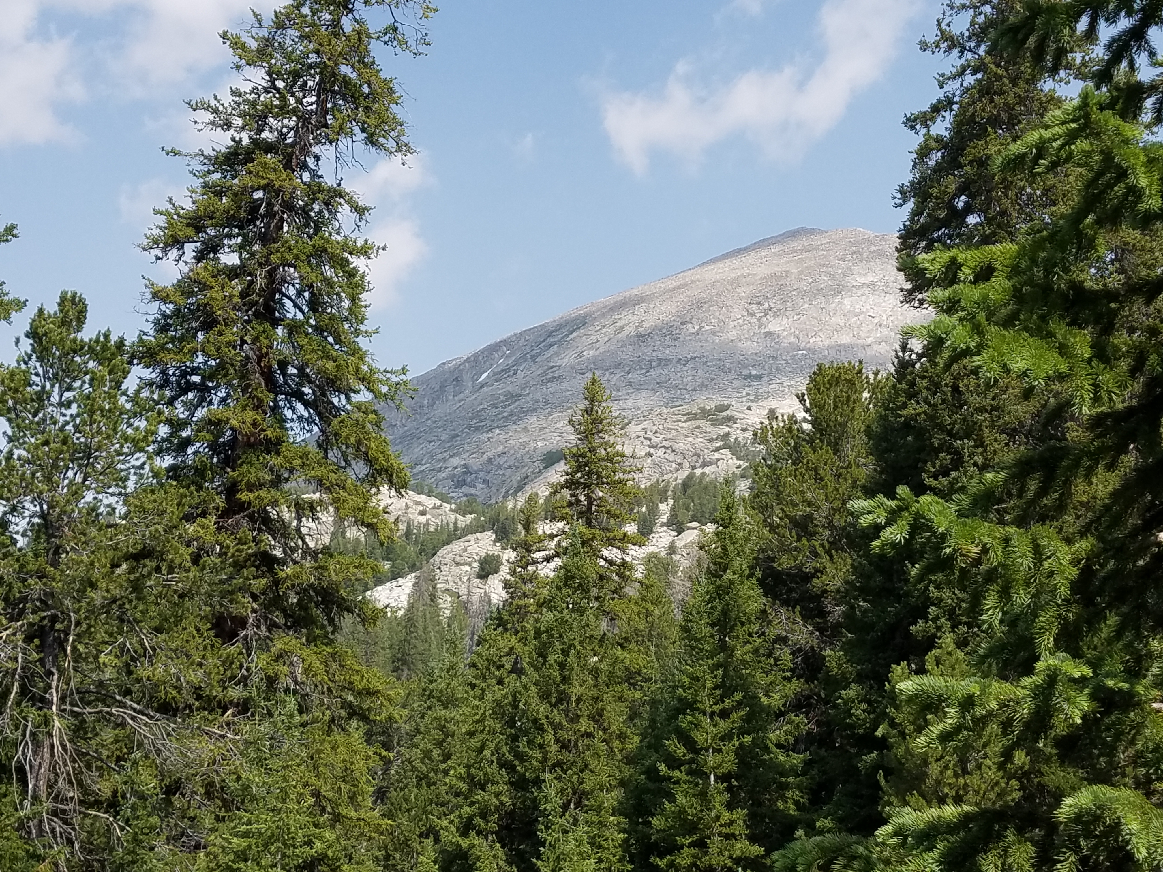 2017 Wind River Trip - Day 4 - Climbing Mount Victor (12,244 ft. Summit), American Pika, Richard's 1978 Fishing License, Mark's 1979 Driving Permit, Meteor Shower (Wind River Range, Wyoming)