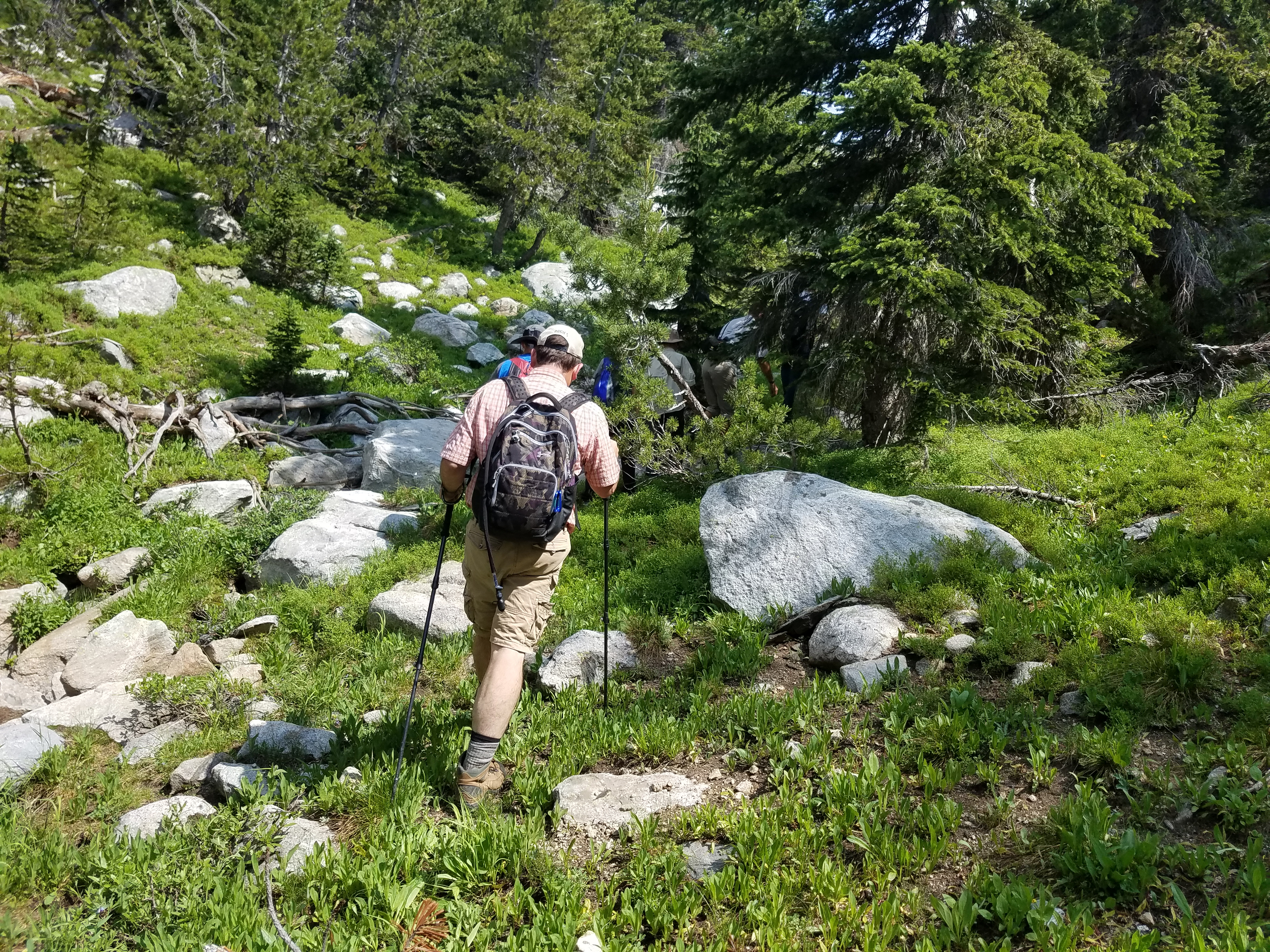 2017 Wind River Trip - Day 4 - Climbing Mount Victor (12,244 ft. Summit), American Pika, Richard's 1978 Fishing License, Mark's 1979 Driving Permit, Meteor Shower (Wind River Range, Wyoming)