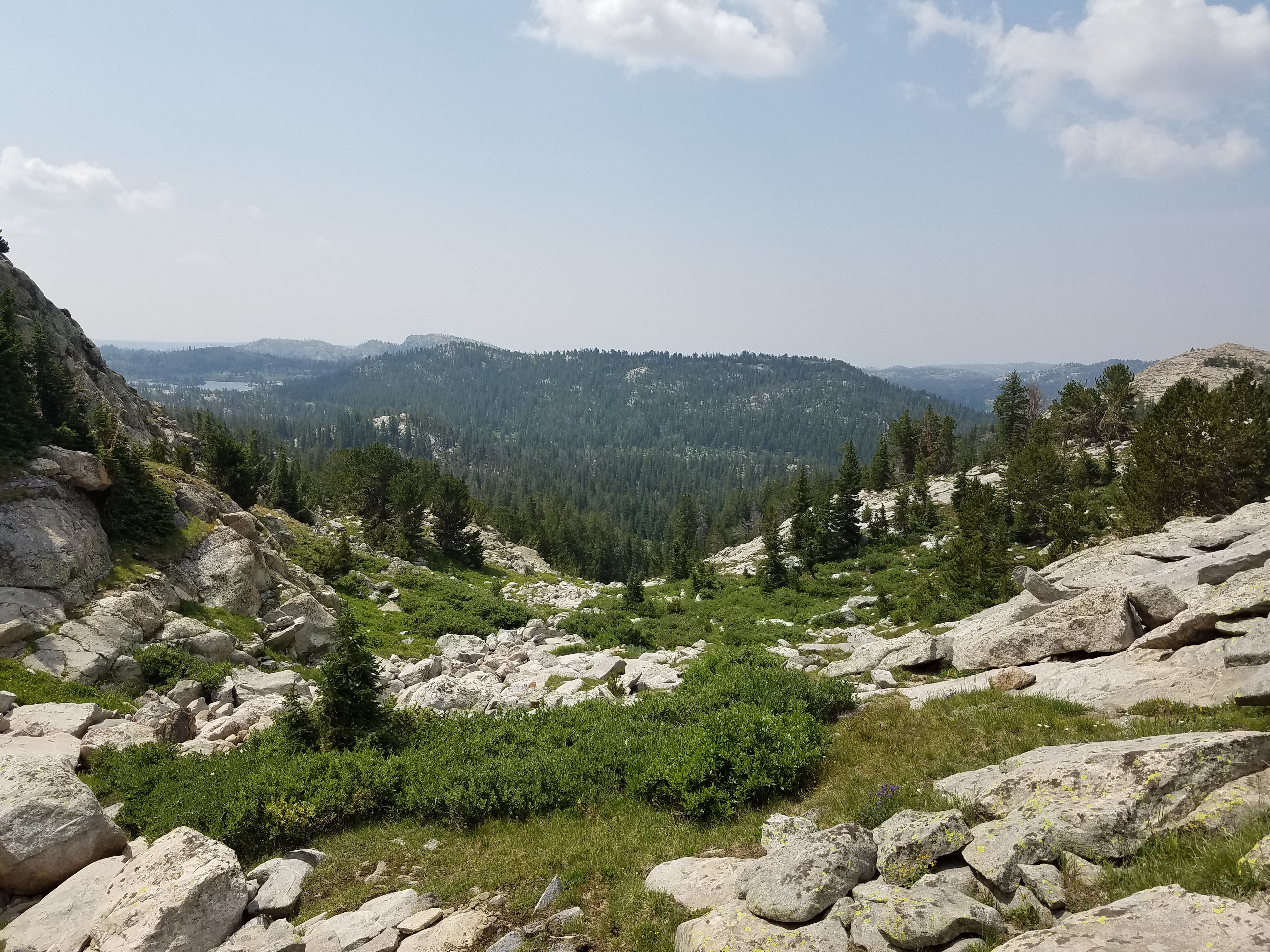 2017 Wind River Trip - Day 4 - Climbing Mount Victor (12,244 ft. Summit), American Pika, Richard's 1978 Fishing License, Mark's 1979 Driving Permit, Meteor Shower (Wind River Range, Wyoming)