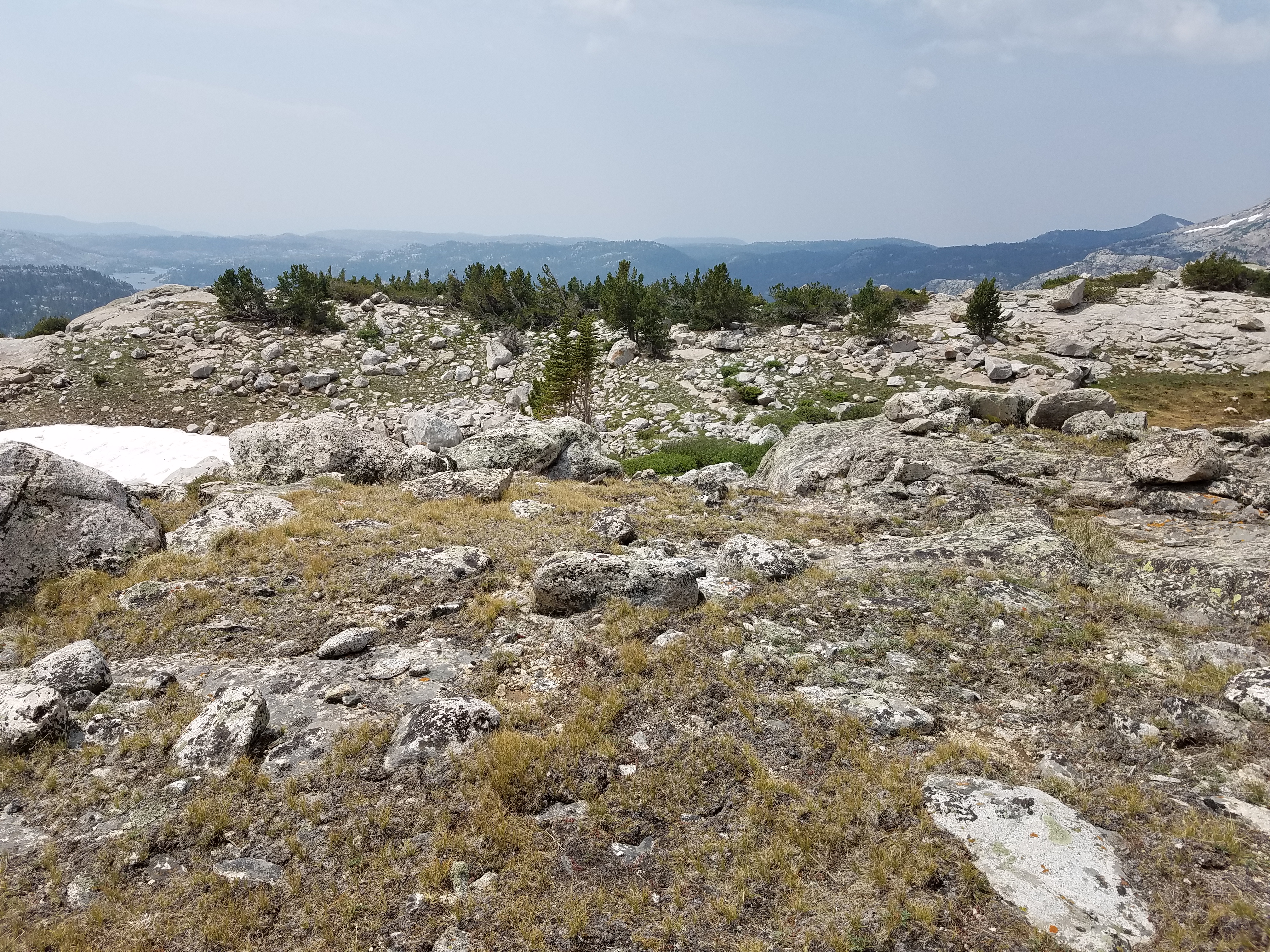 2017 Wind River Trip - Day 4 - Climbing Mount Victor (12,244 ft. Summit), American Pika, Richard's 1978 Fishing License, Mark's 1979 Driving Permit, Meteor Shower (Wind River Range, Wyoming)