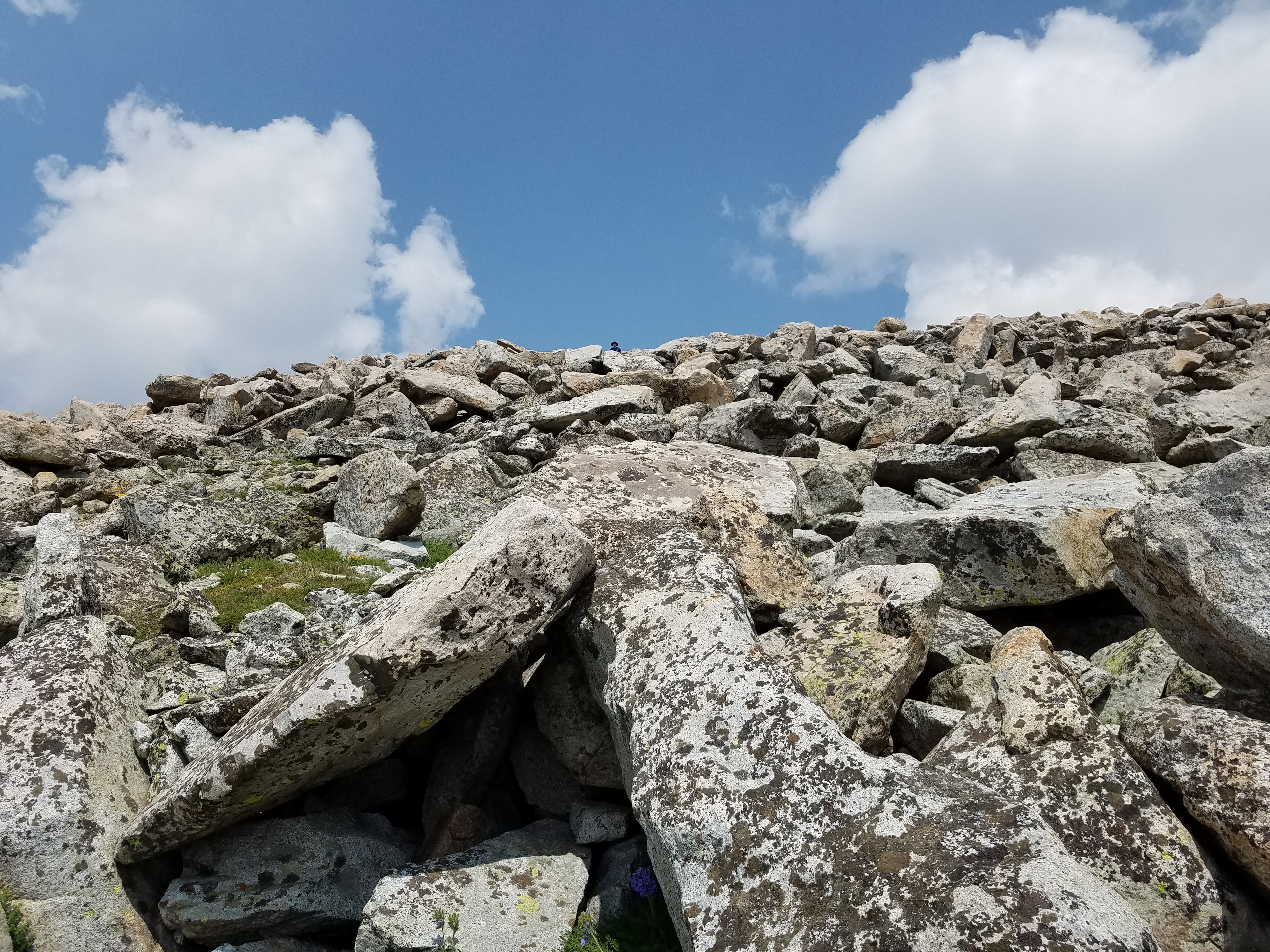 2017 Wind River Trip - Day 4 - Climbing Mount Victor (12,244 ft. Summit), American Pika, Richard's 1978 Fishing License, Mark's 1979 Driving Permit, Meteor Shower (Wind River Range, Wyoming)