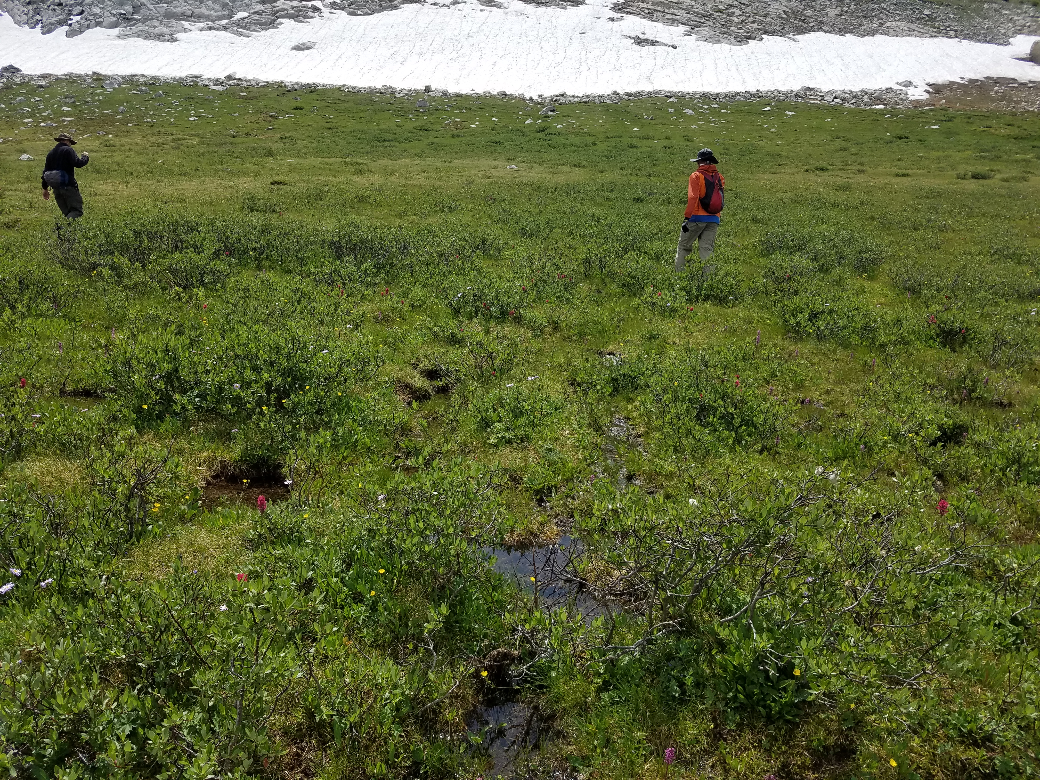 2017 Wind River Trip - Day 6 - Hiking all the way around Mount Victor, Fishing Lake Lyle, Snow Cones, Wildflowers, Rainstorm (Wind River Range, Wyoming)