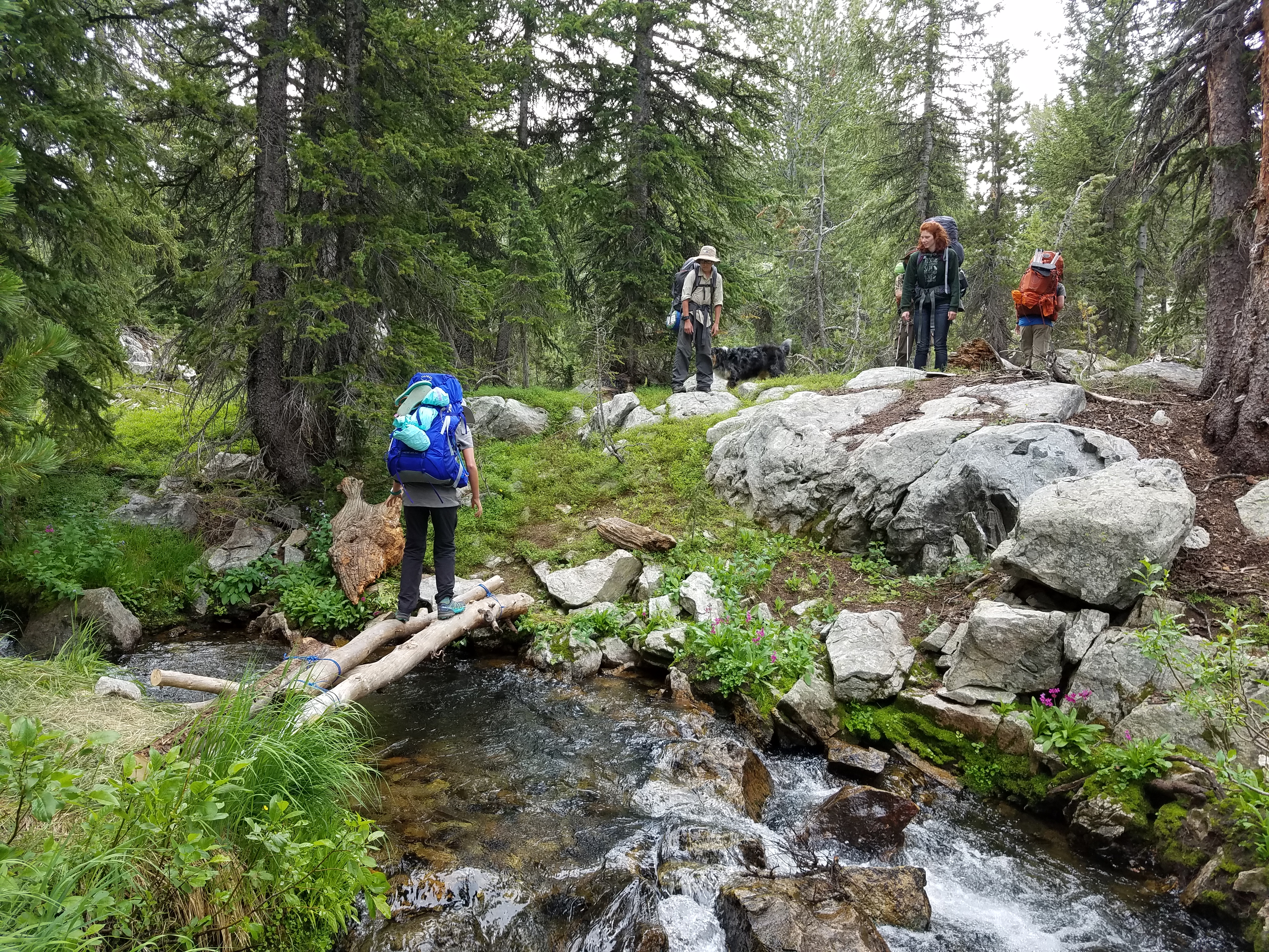 2017 Wind River Trip - Day 7 - Mount Victor Base Camp to Coyote Lake, Zack's Bloody Nose, Old Cabin (Wind River Range, Wyoming)