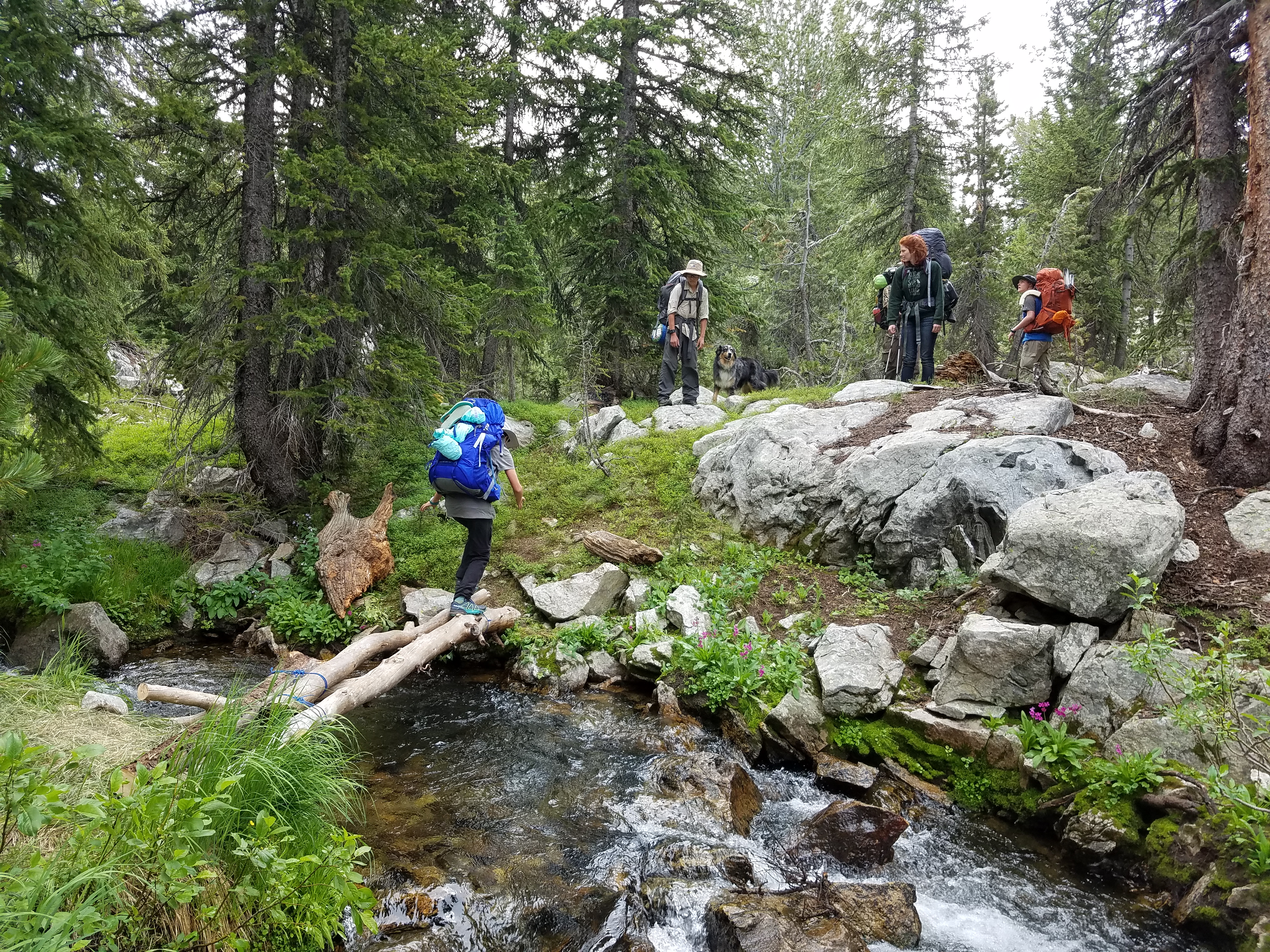 2017 Wind River Trip - Day 7 - Mount Victor Base Camp to Coyote Lake, Zack's Bloody Nose, Old Cabin (Wind River Range, Wyoming)