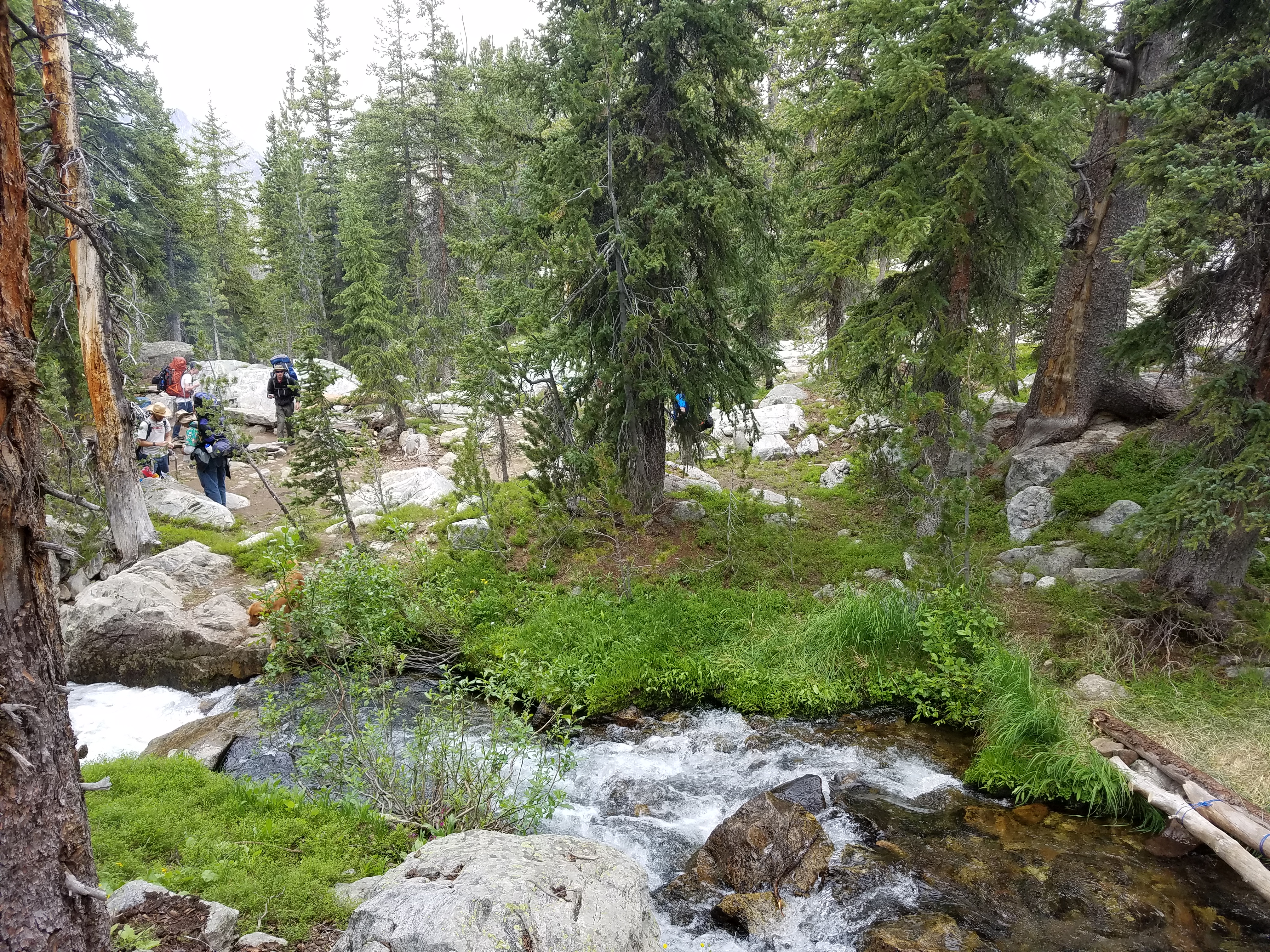 2017 Wind River Trip - Day 7 - Mount Victor Base Camp to Coyote Lake, Zack's Bloody Nose, Old Cabin (Wind River Range, Wyoming)